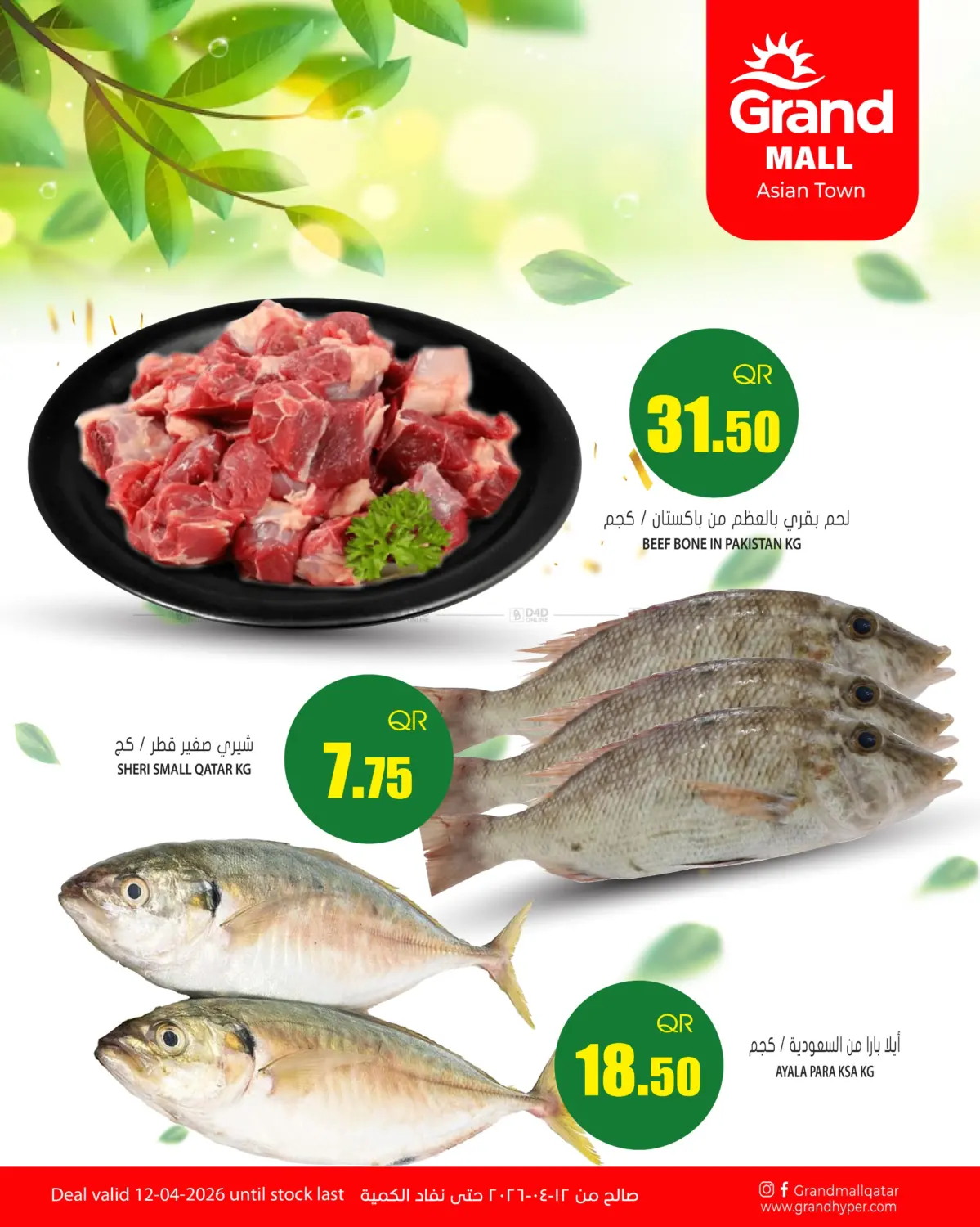 Special Offer in Doha