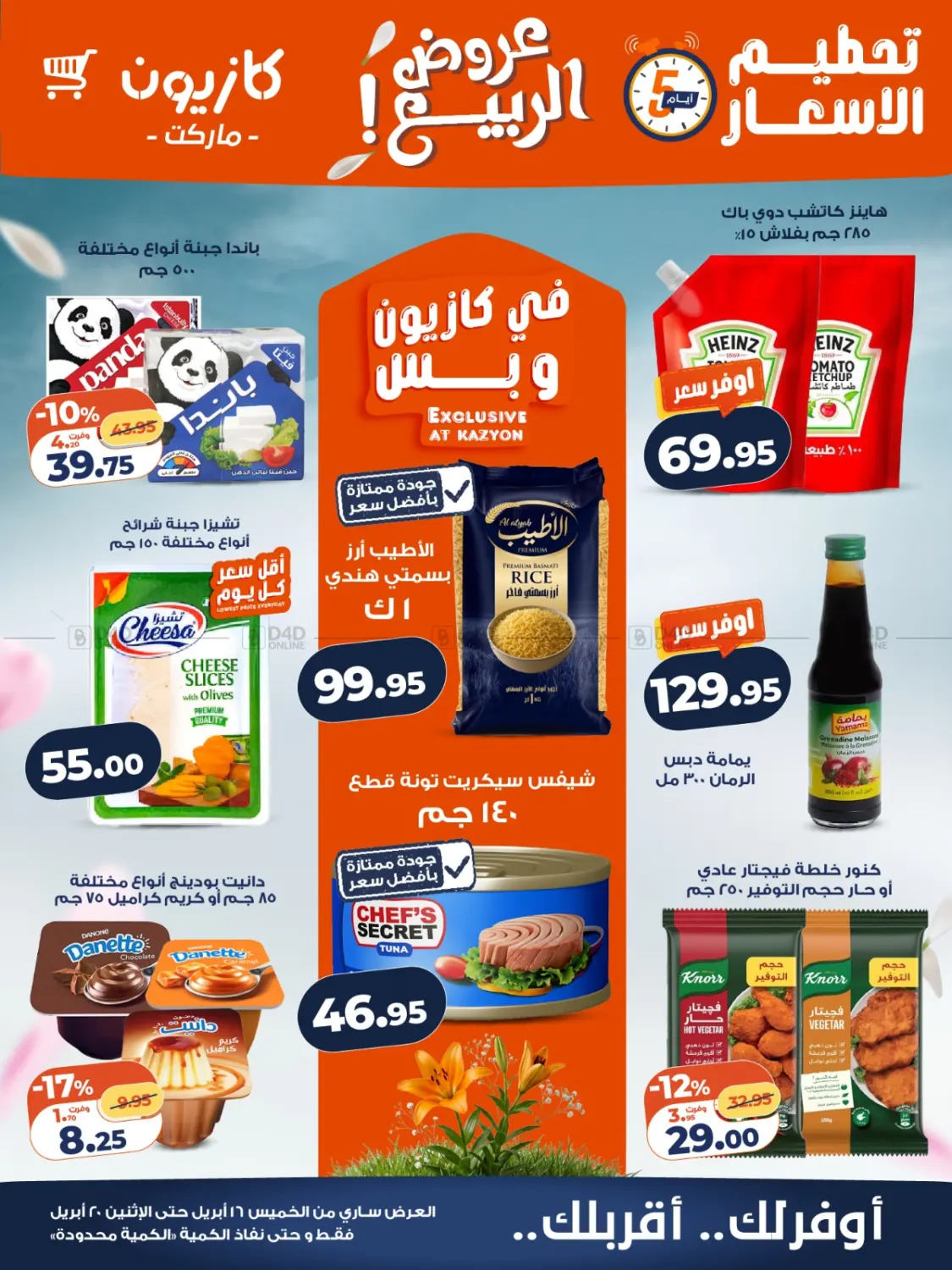 Specia Offer in Cairo