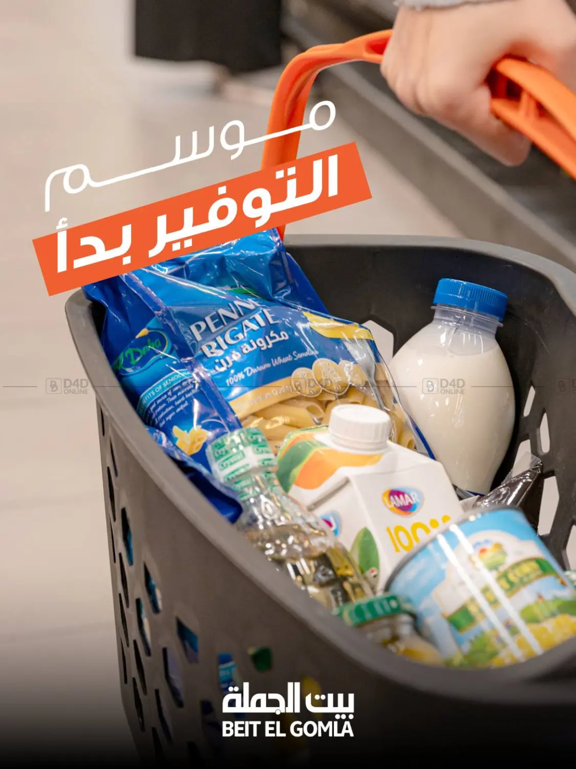 Special Offer in Cairo