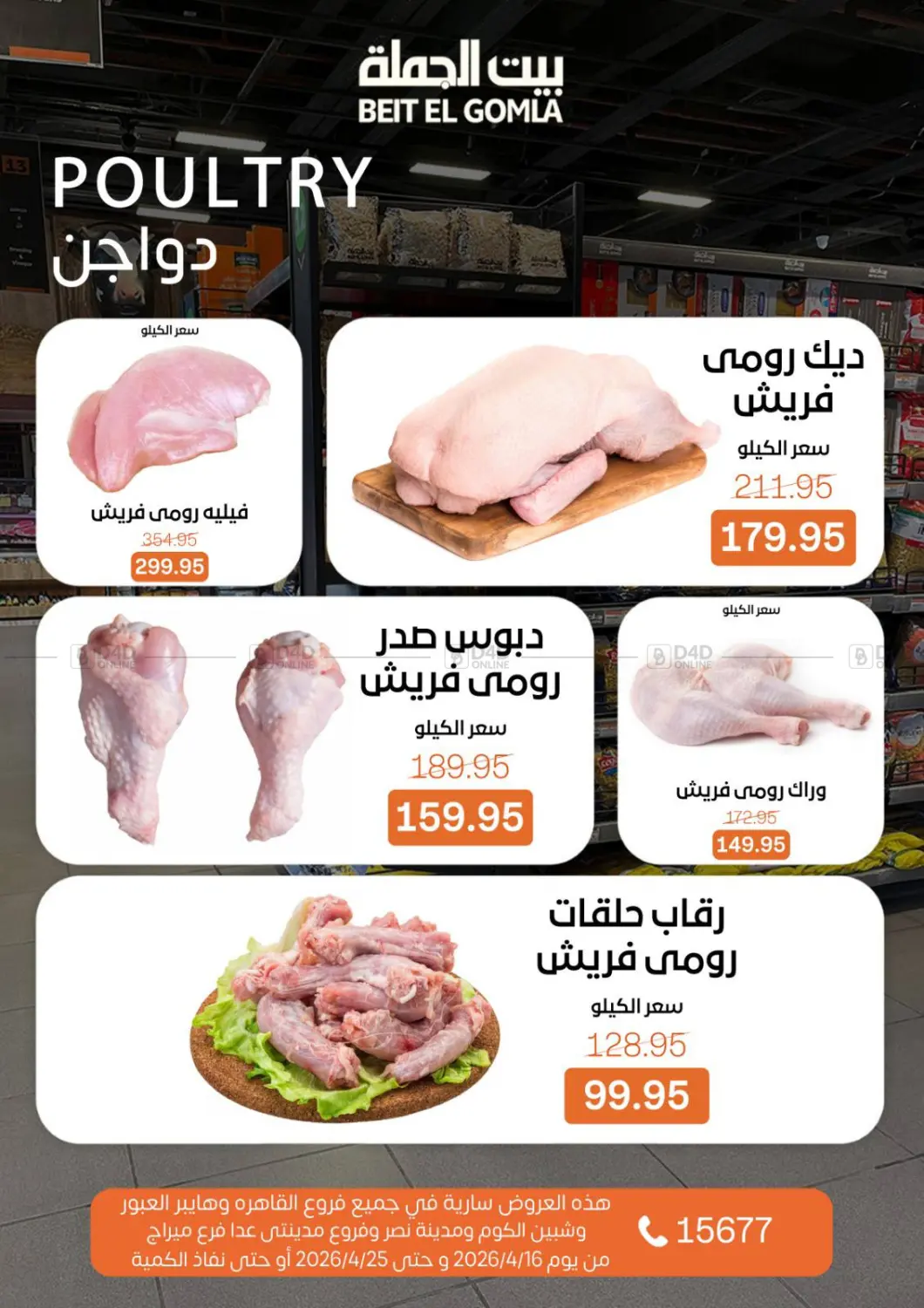 Special Offer in Cairo
