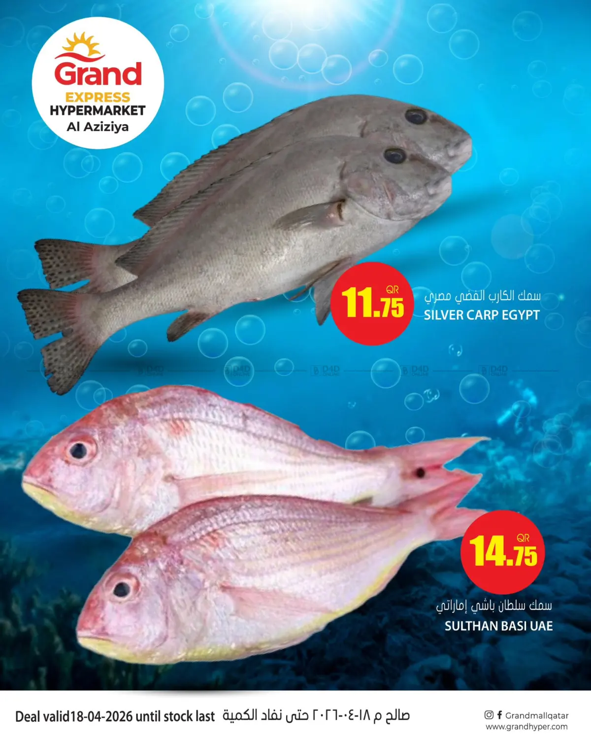 Special Offer in Doha