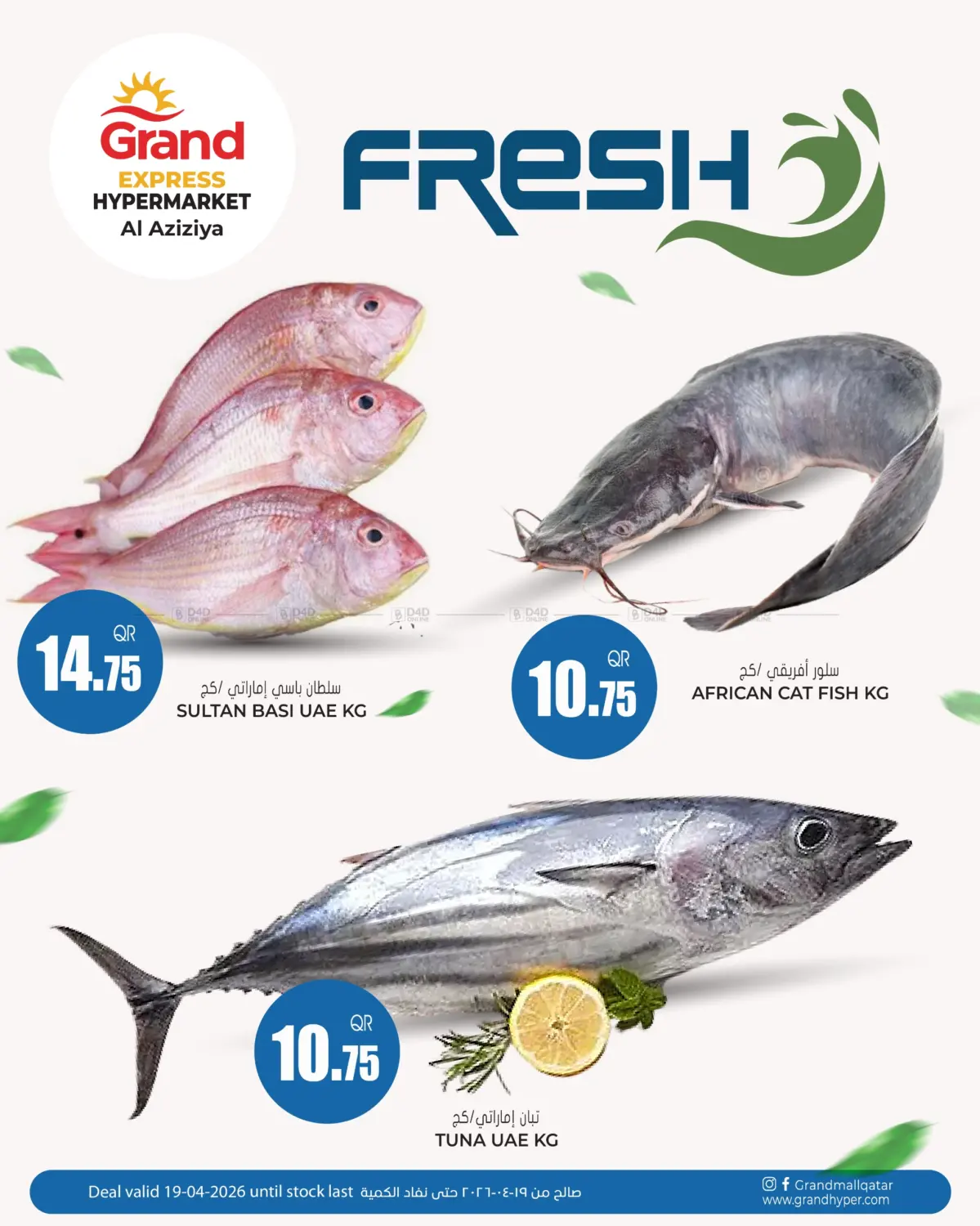 Fresh - Grand Express Al Aziziya in Doha