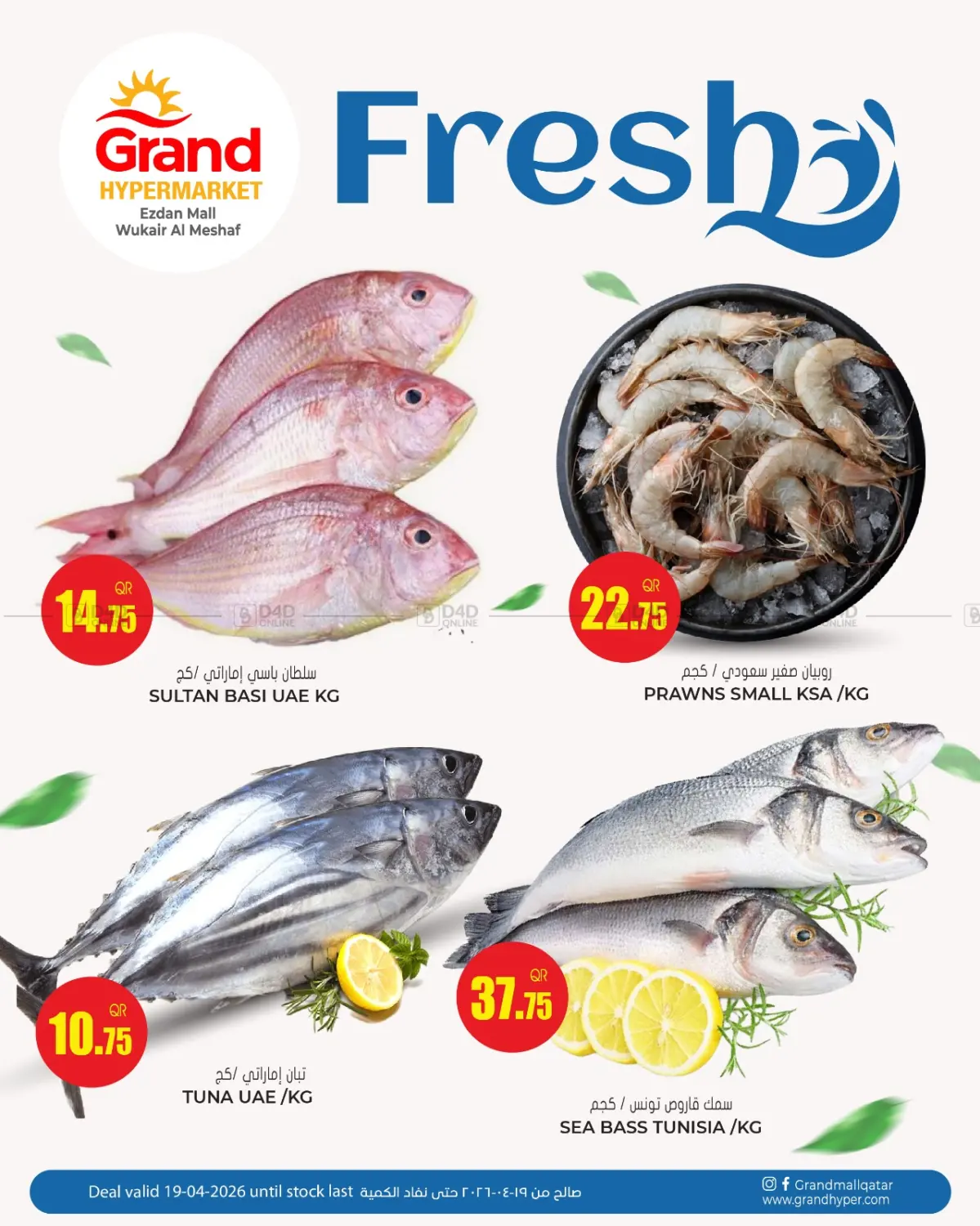 Fresh - Ezdan Mall in Al Wakra