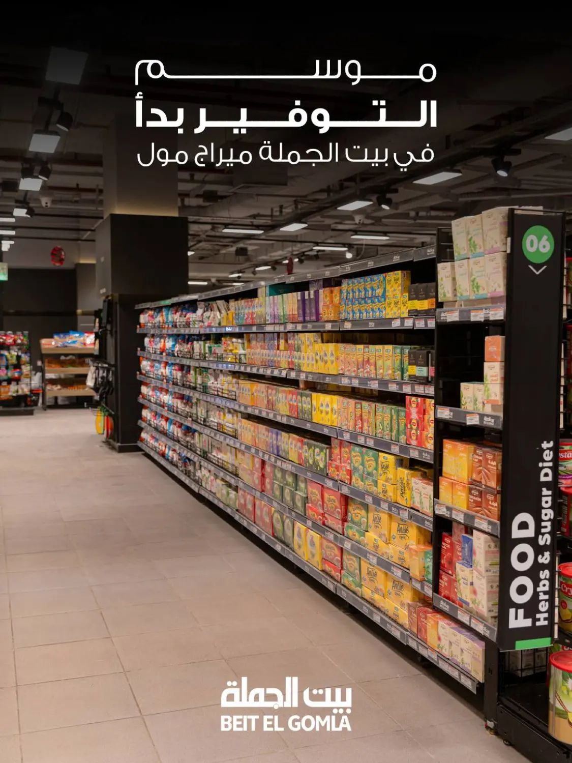 Special Offer in Cairo