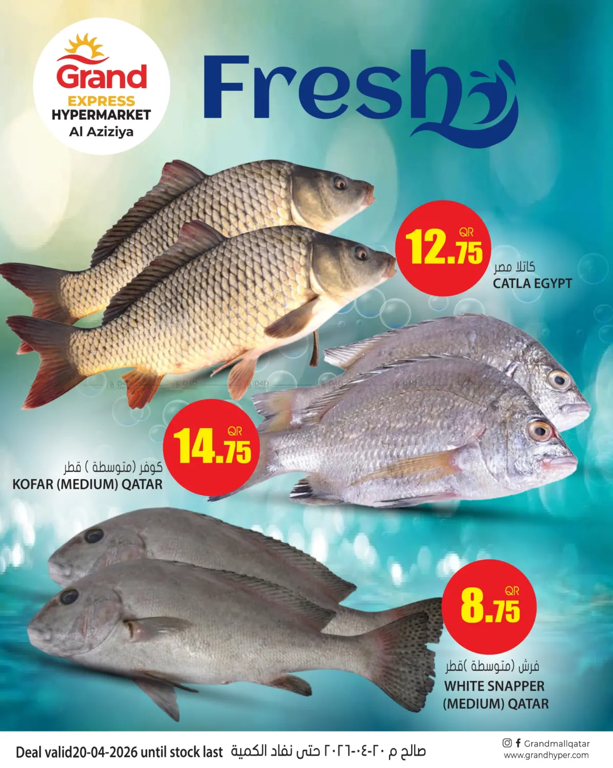 الأسماك الطازجة in الشحانية