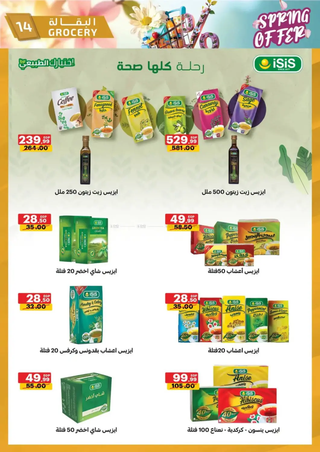 Spring Offers in Cairo
