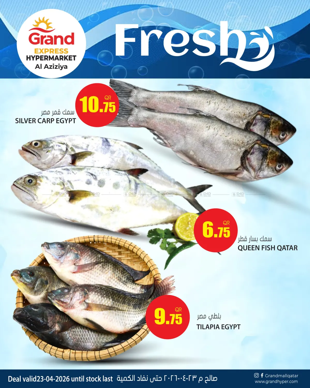 Fresh Deal in Al Daayen