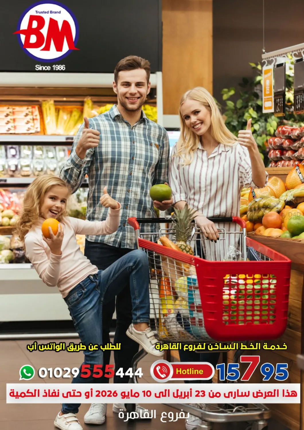 Special Offer in Cairo