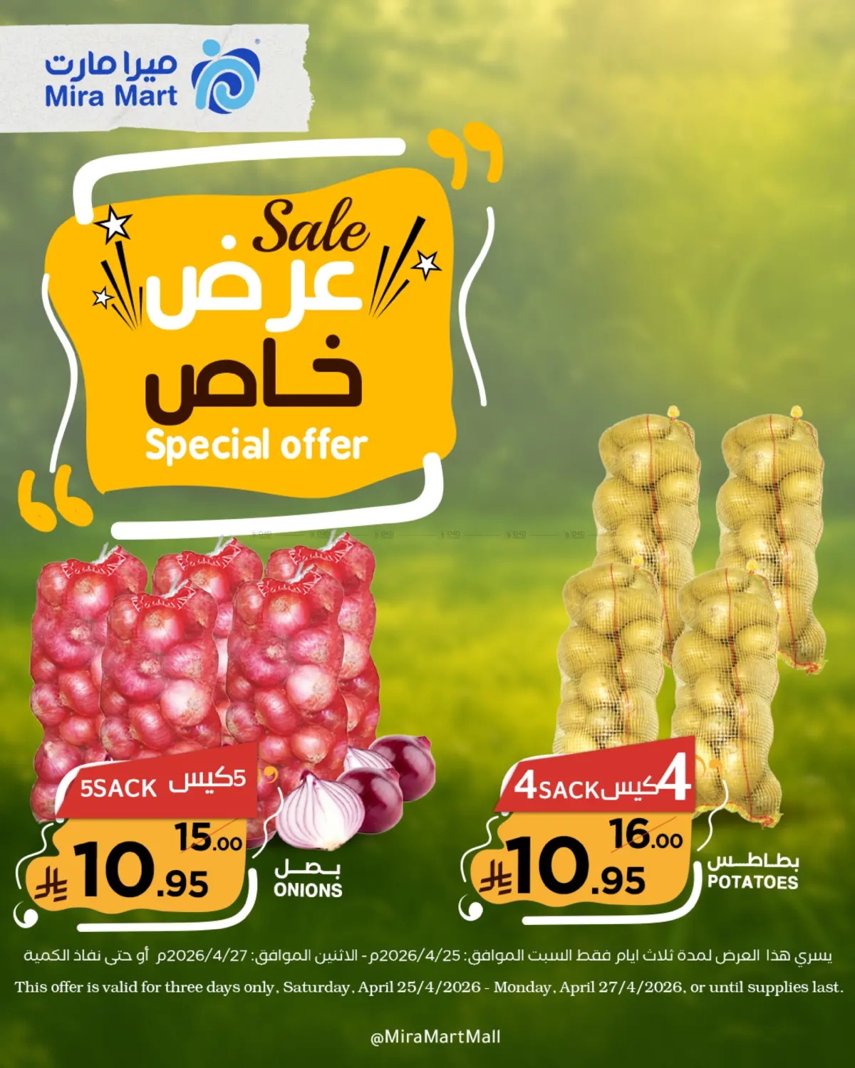 Special Offer in جدة