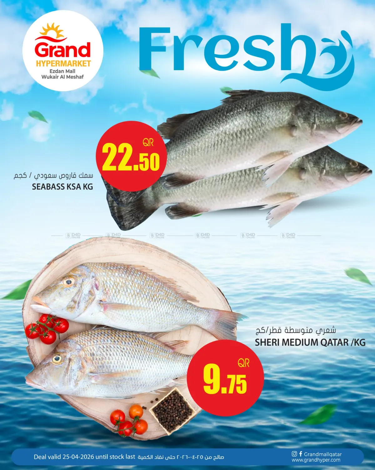 Fresh Offers in Al Wakra