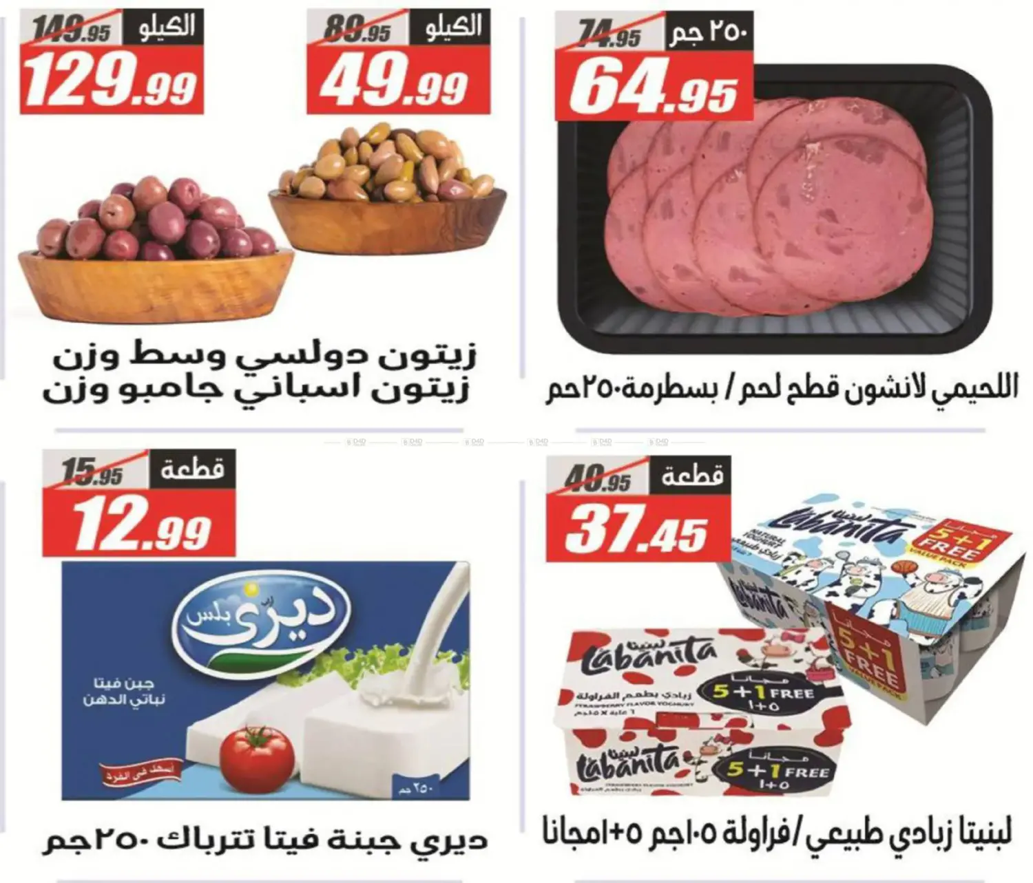 مهرجان الفرجاني in القاهرة