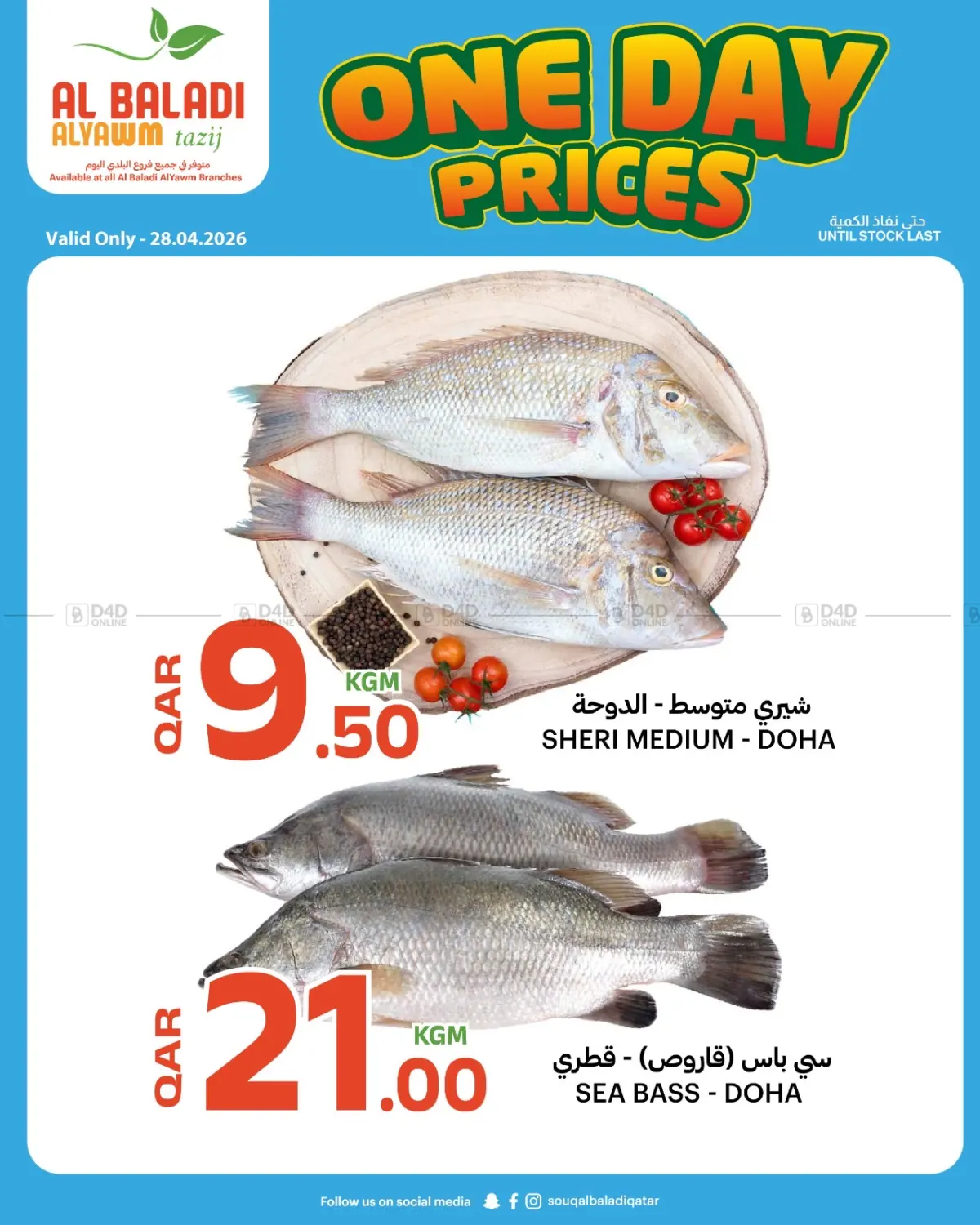 One Day Prices in Al Shamal