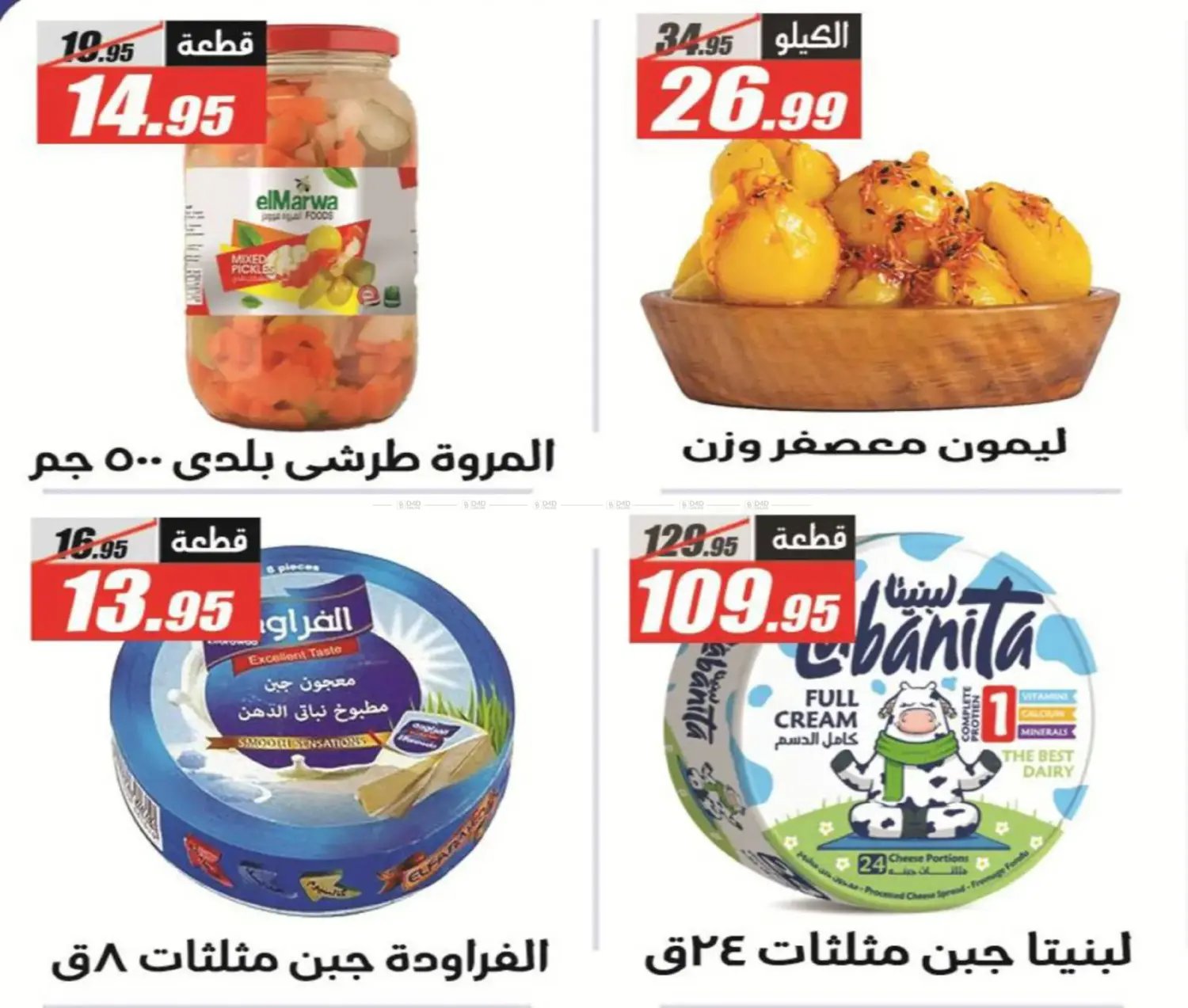 مهرجان الفرجاني in القاهرة