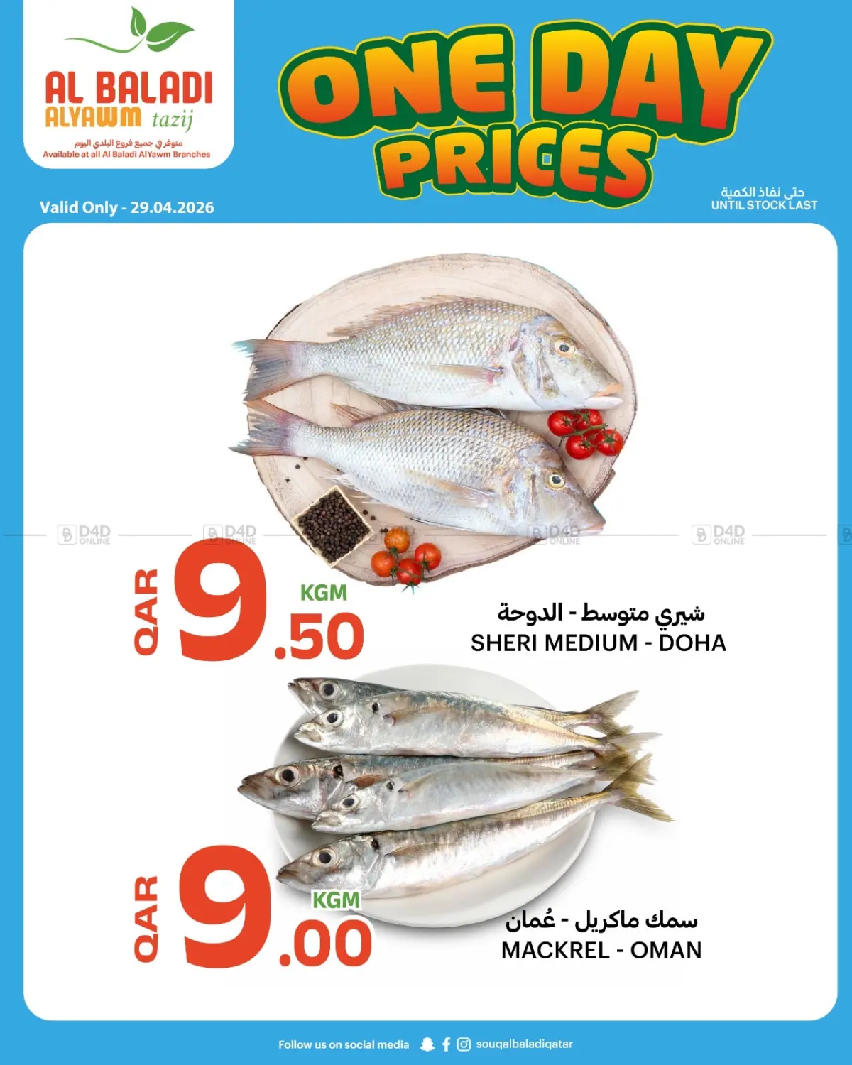 One Day Prices in Doha