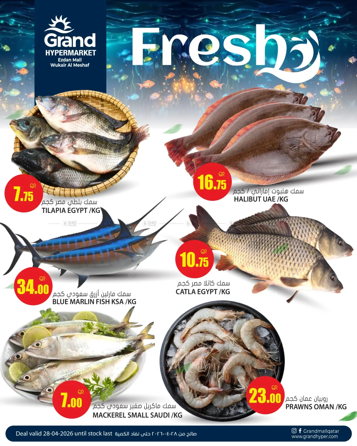 Fresh Offer in Al Wakra