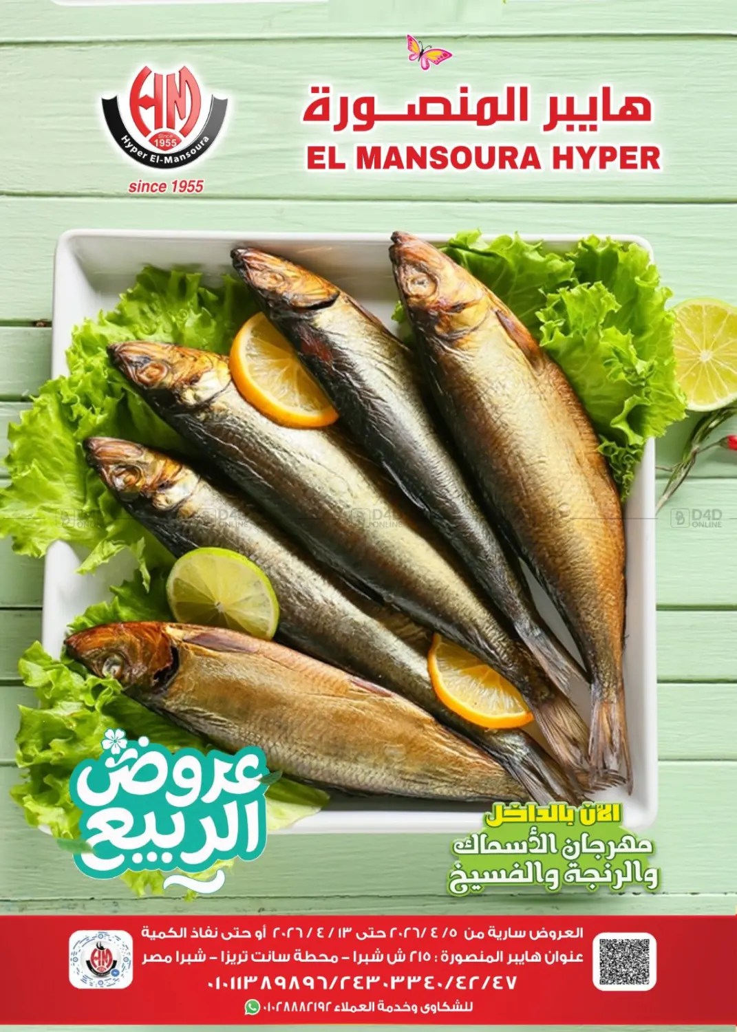 عروض خاصة in القاهرة