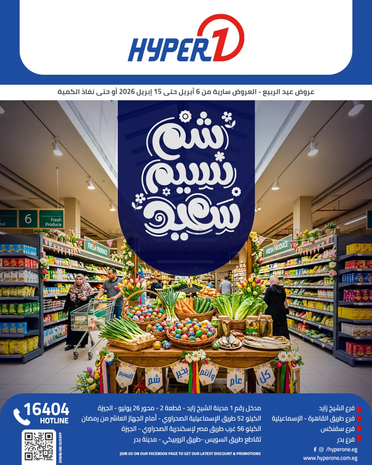 Special Offer in Cairo