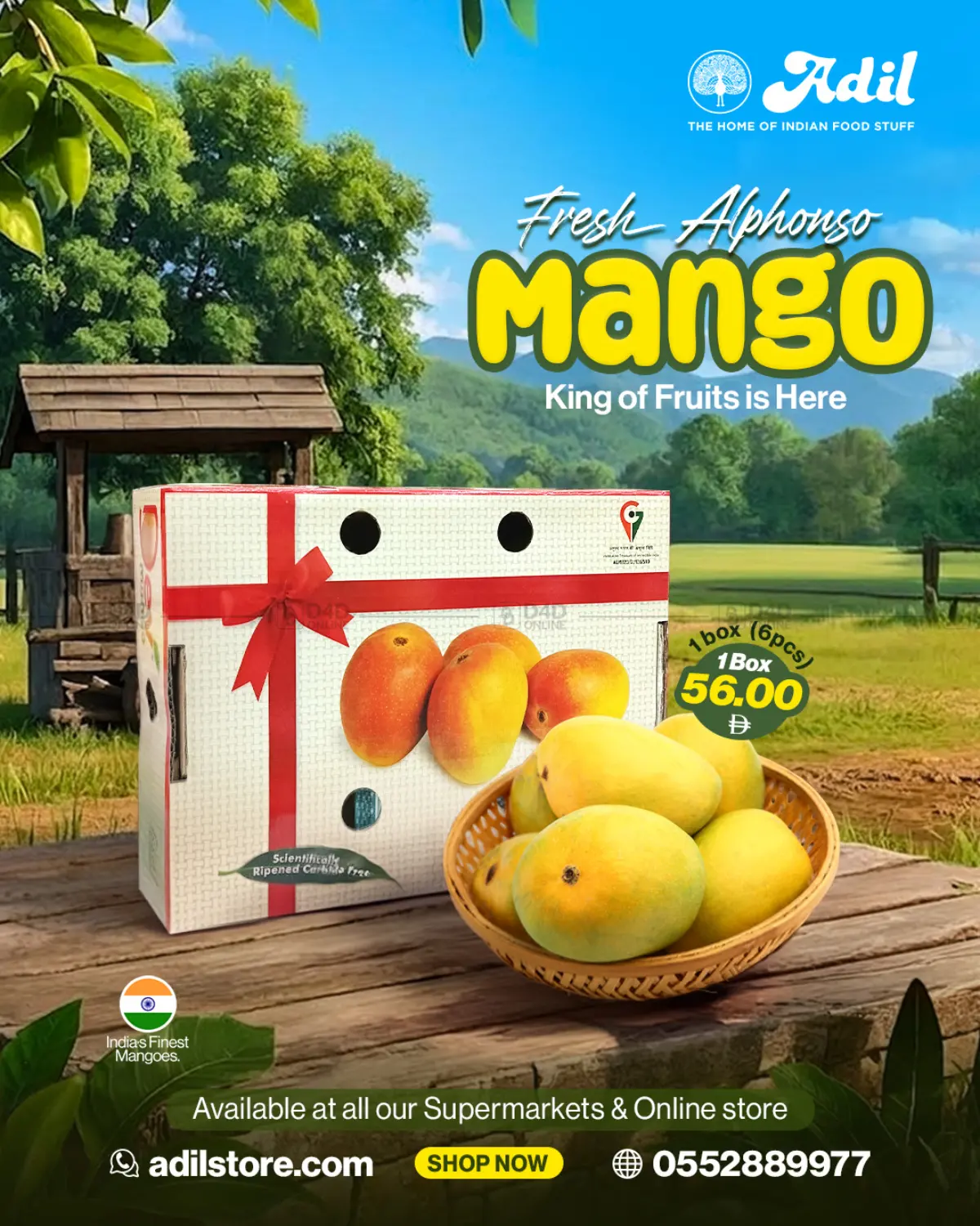 Fresh Alphonso Mango in Dubai