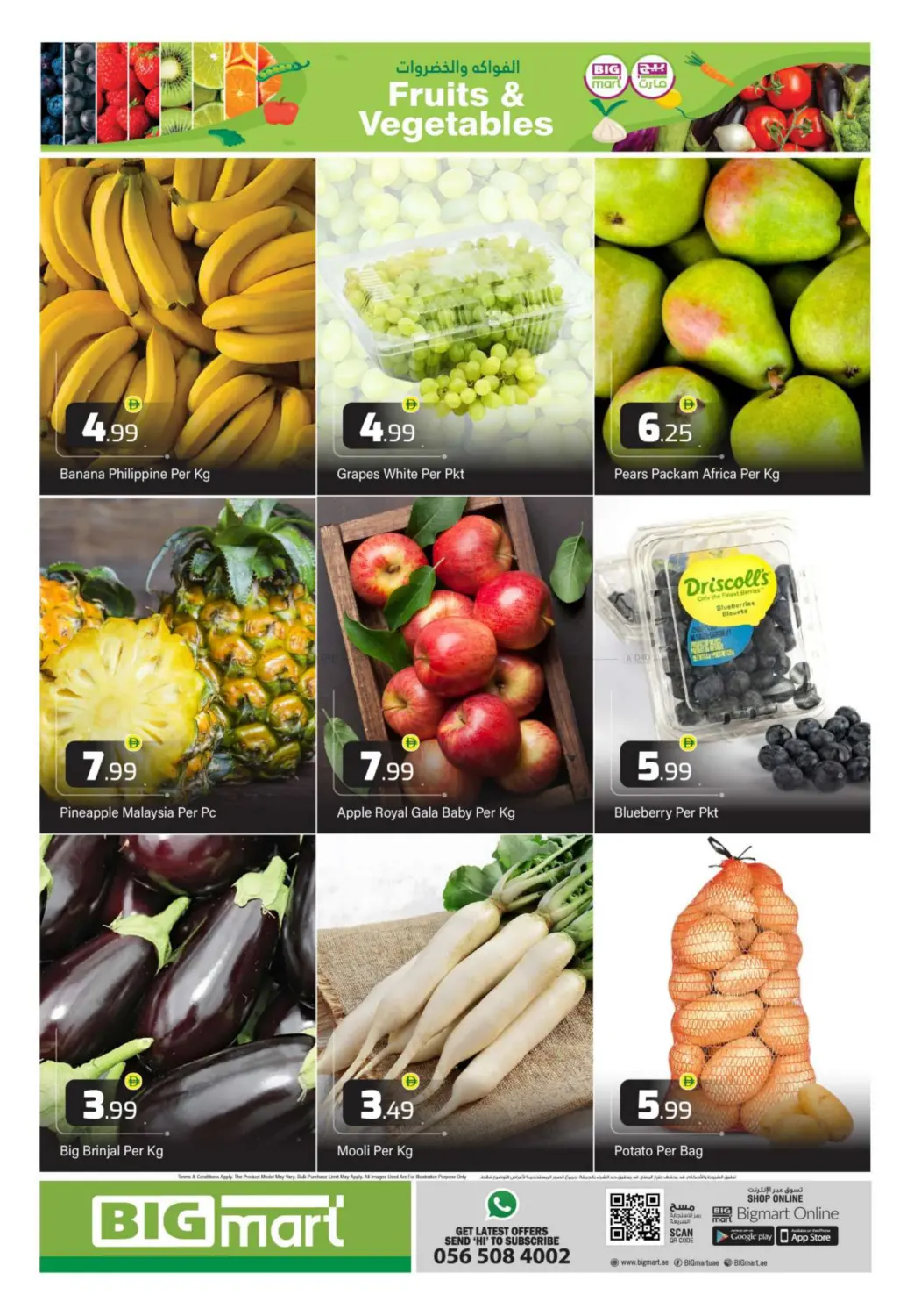 Big Sale in Abu Dhabi