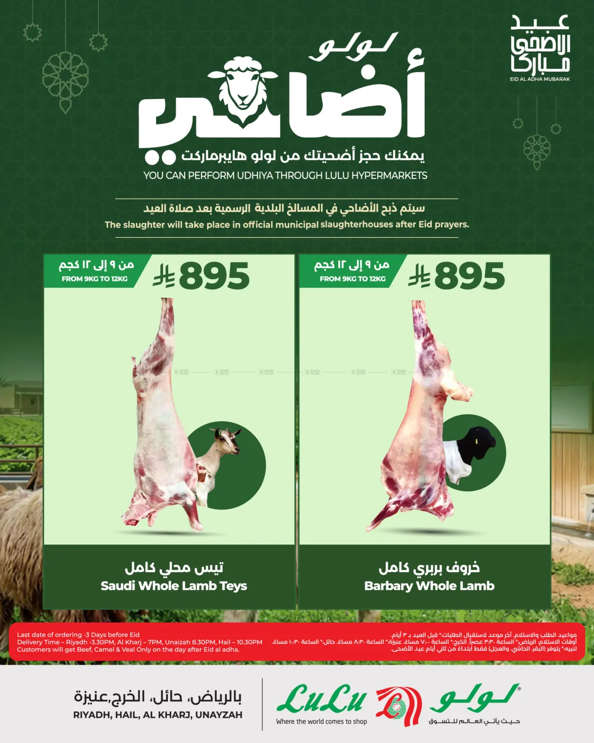 Special Offer in Al-Kharj