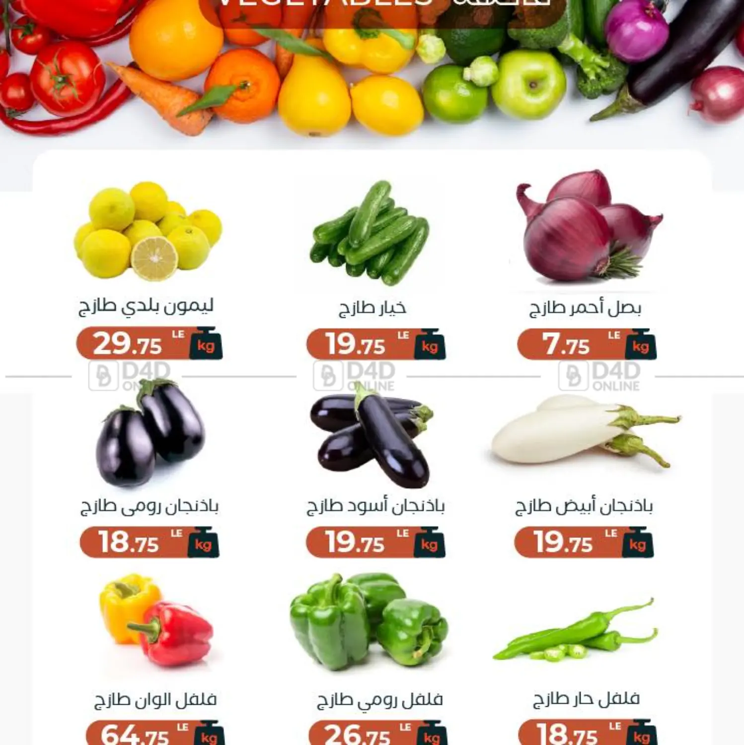Special Offer in Cairo