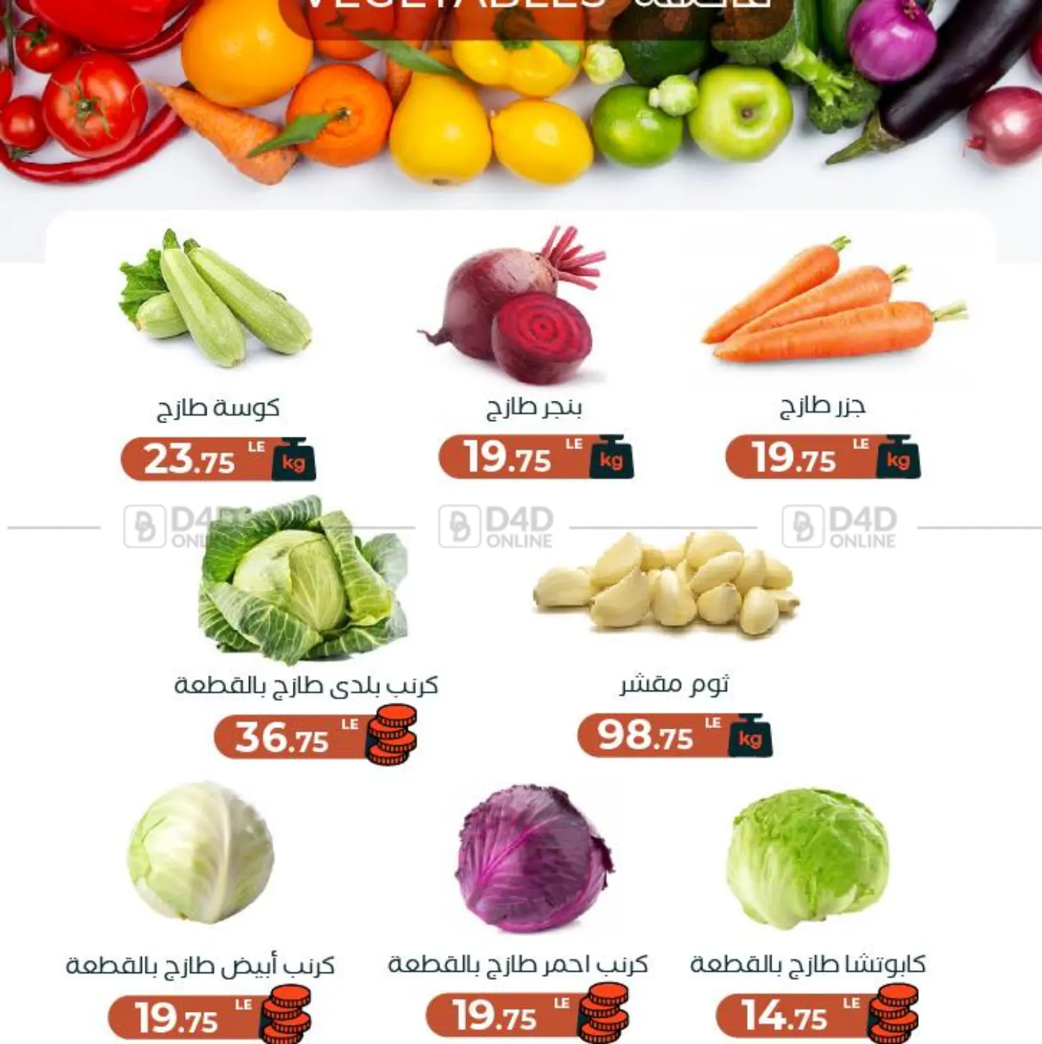 Special Offer in Cairo