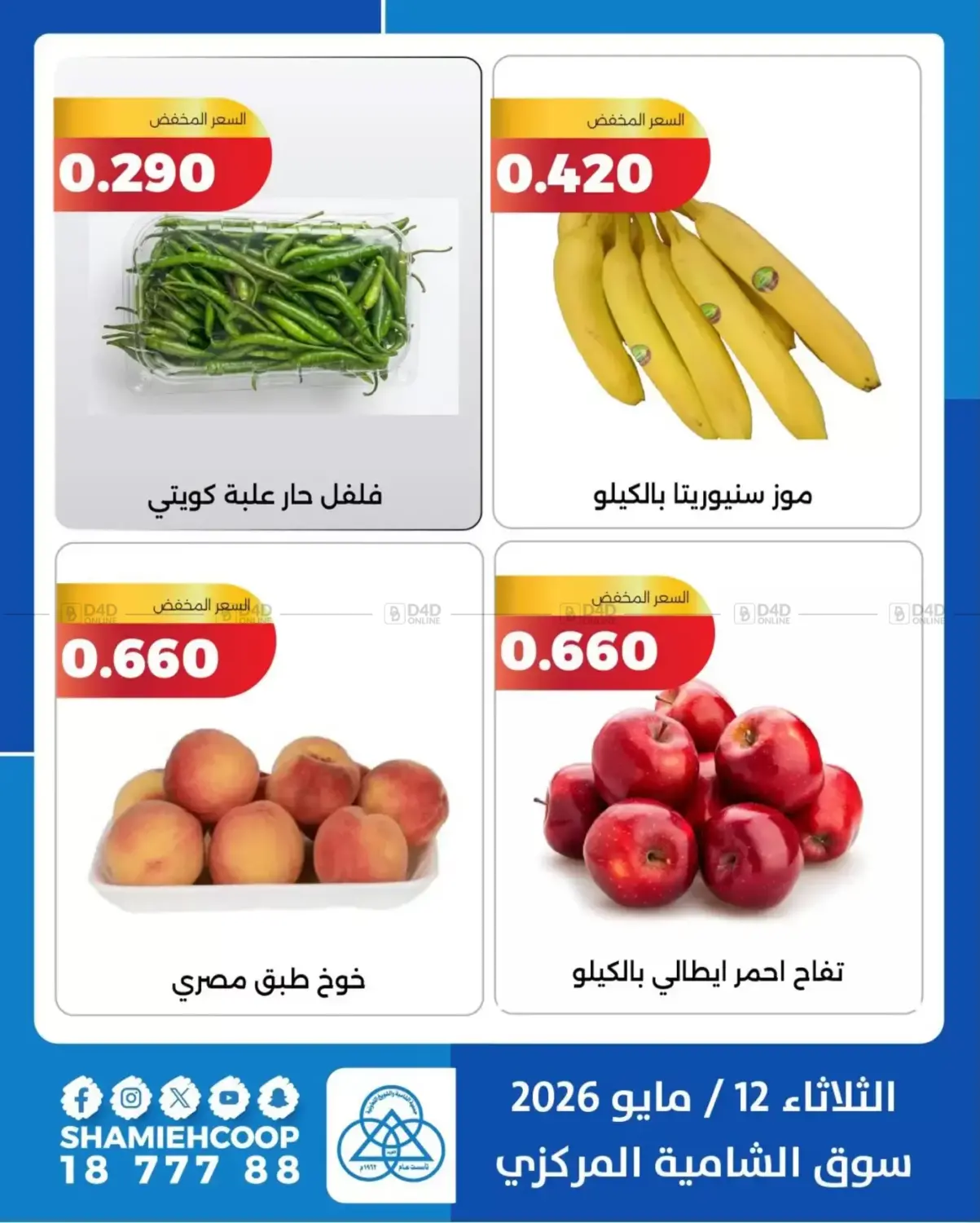 عروض الخضروات والفواكه in مدينة الكويت