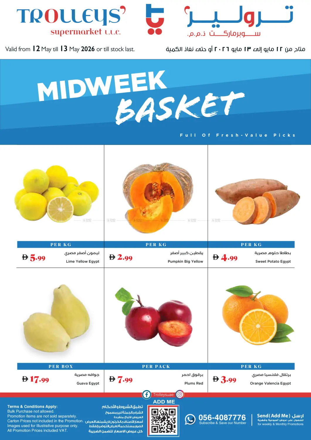 Midweek Basket in Dubai