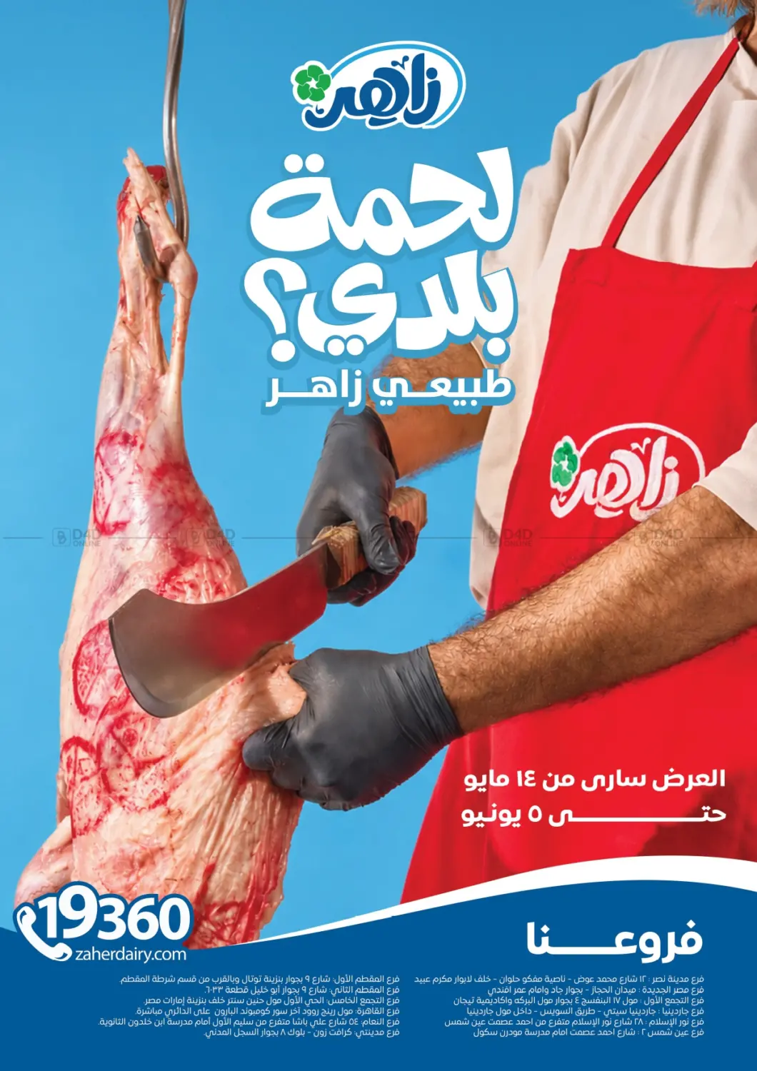 Special Offer in Cairo