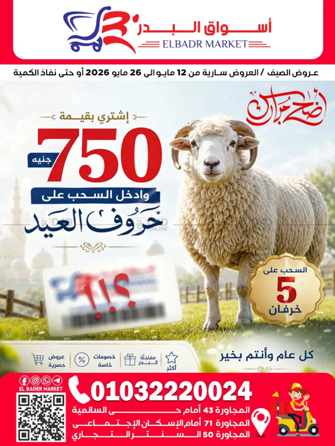 Special Offer in Cairo