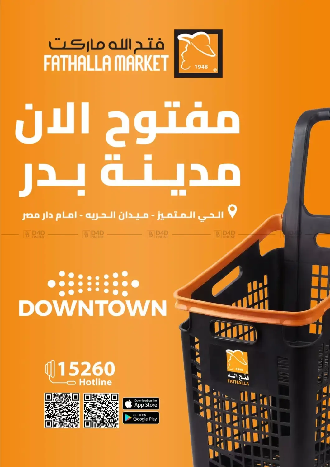 Special Offer in Cairo