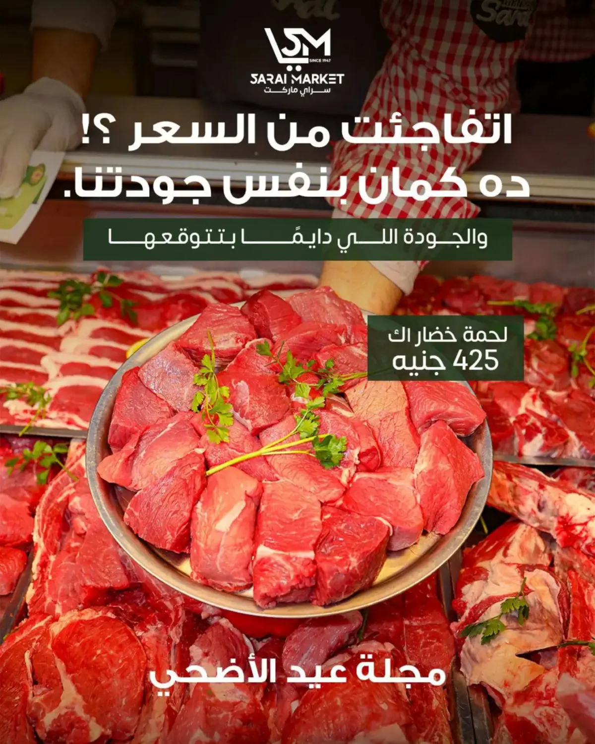 Special Offer in Cairo