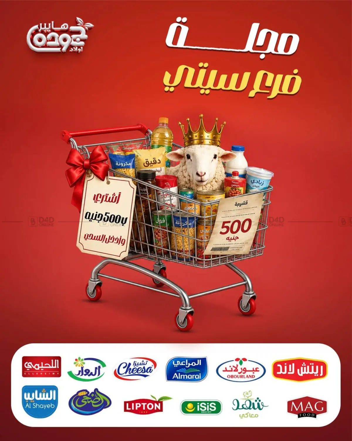 Special Offer in Cairo