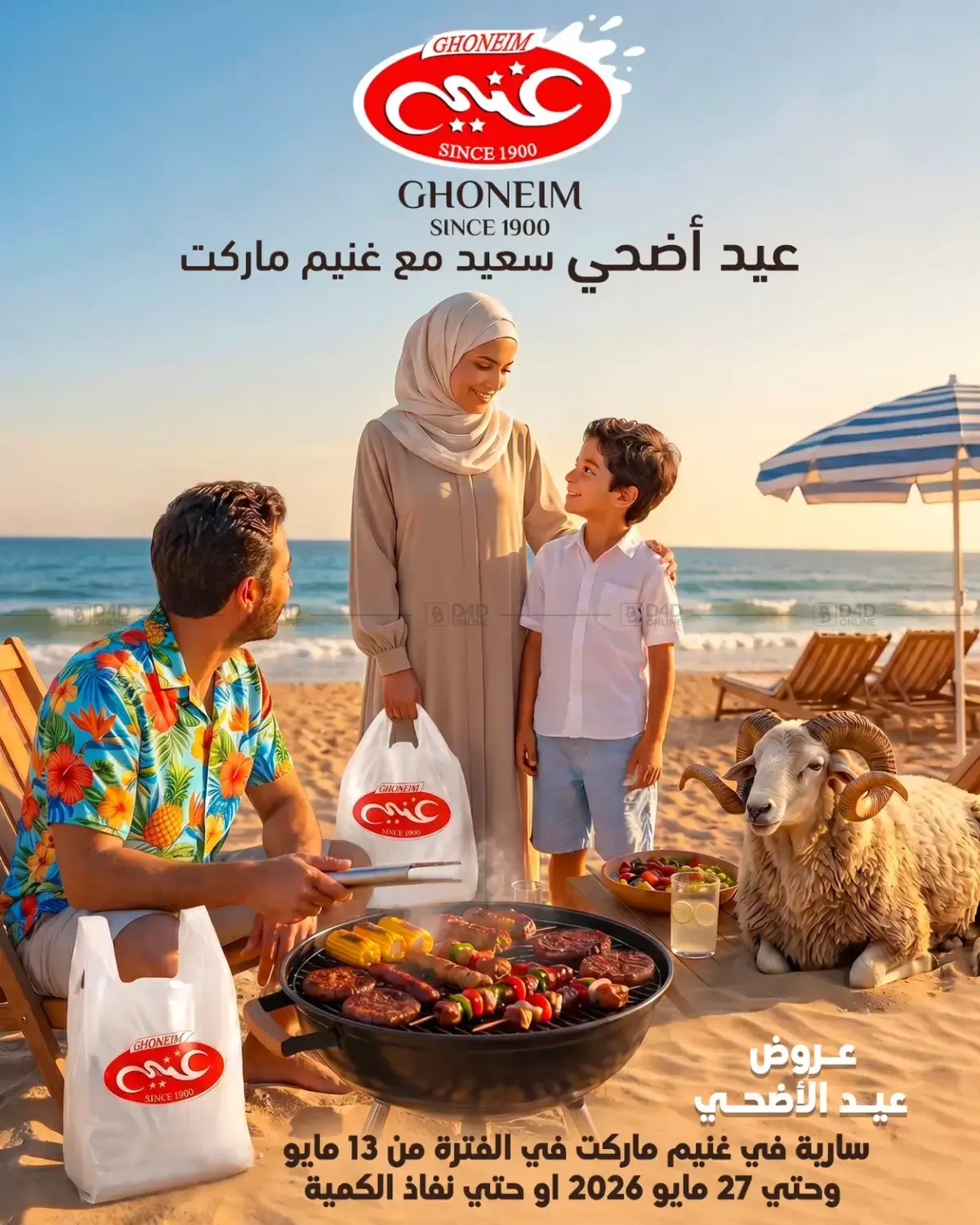 Special Offer in Cairo