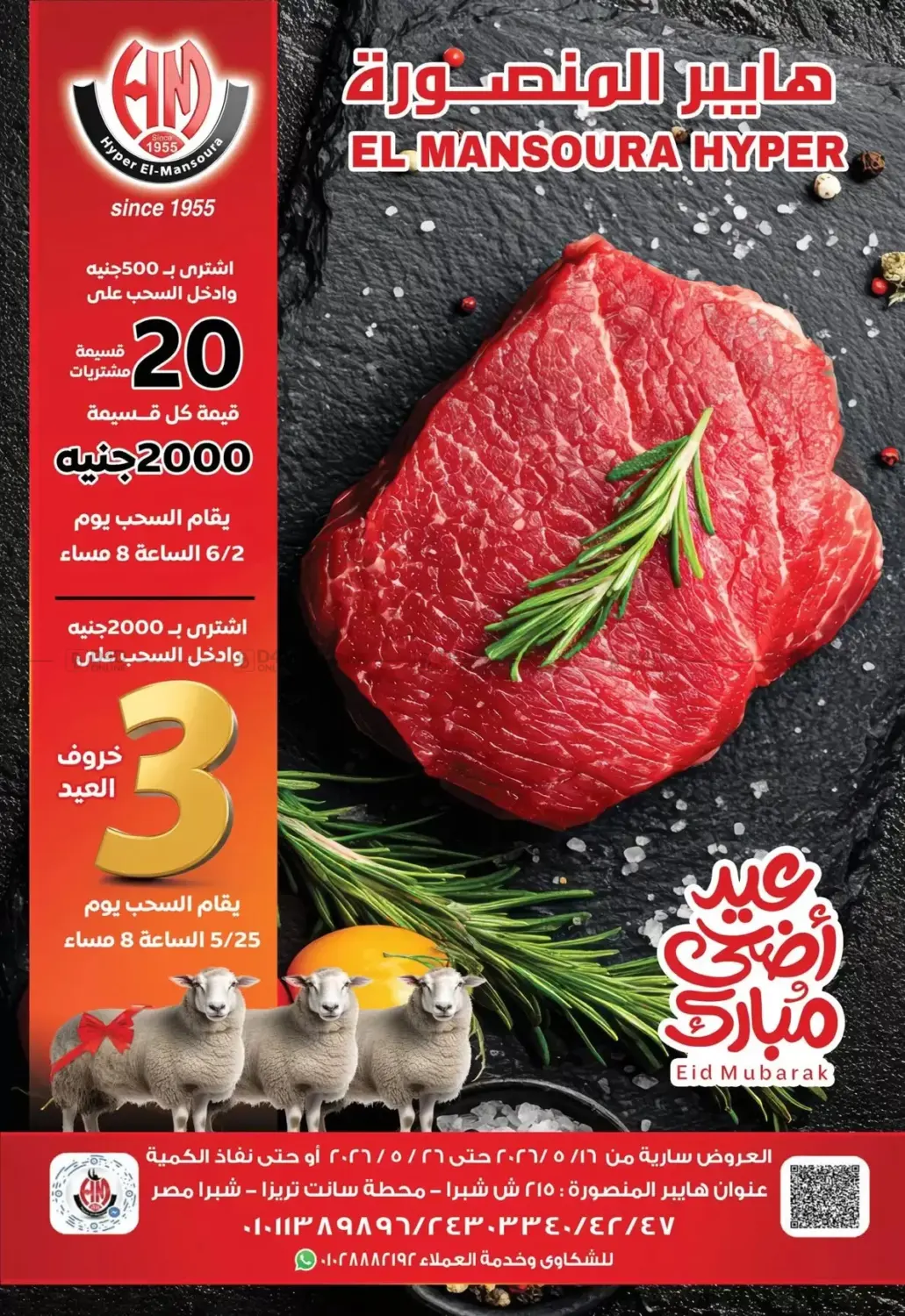 Special Offers in Cairo