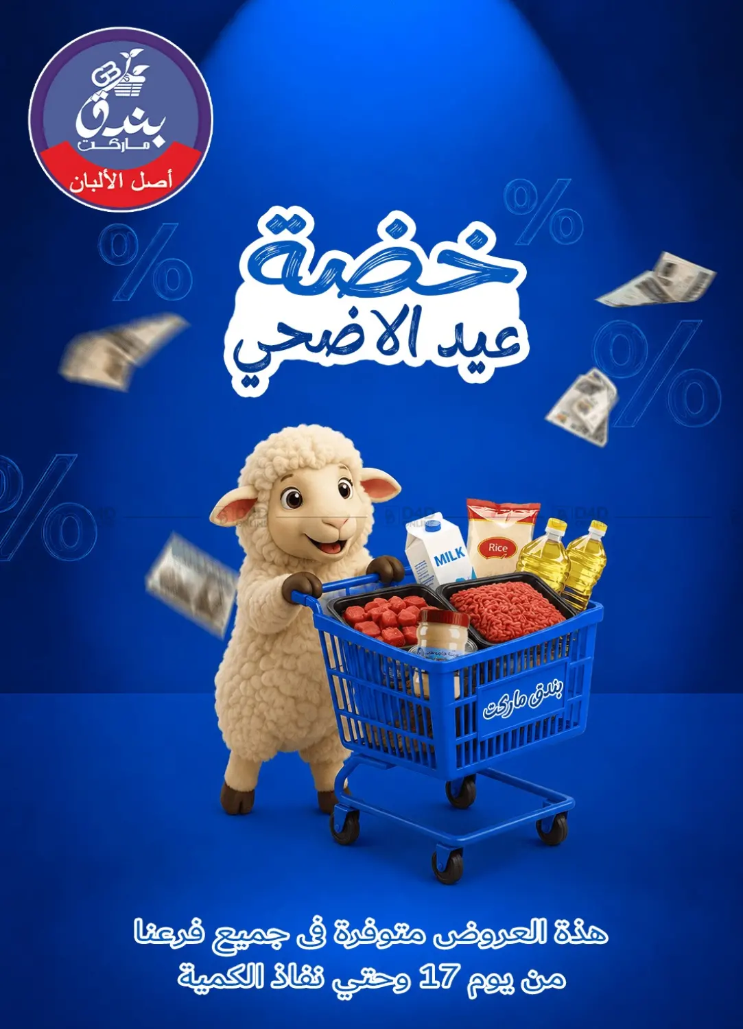 Special Offer in Cairo