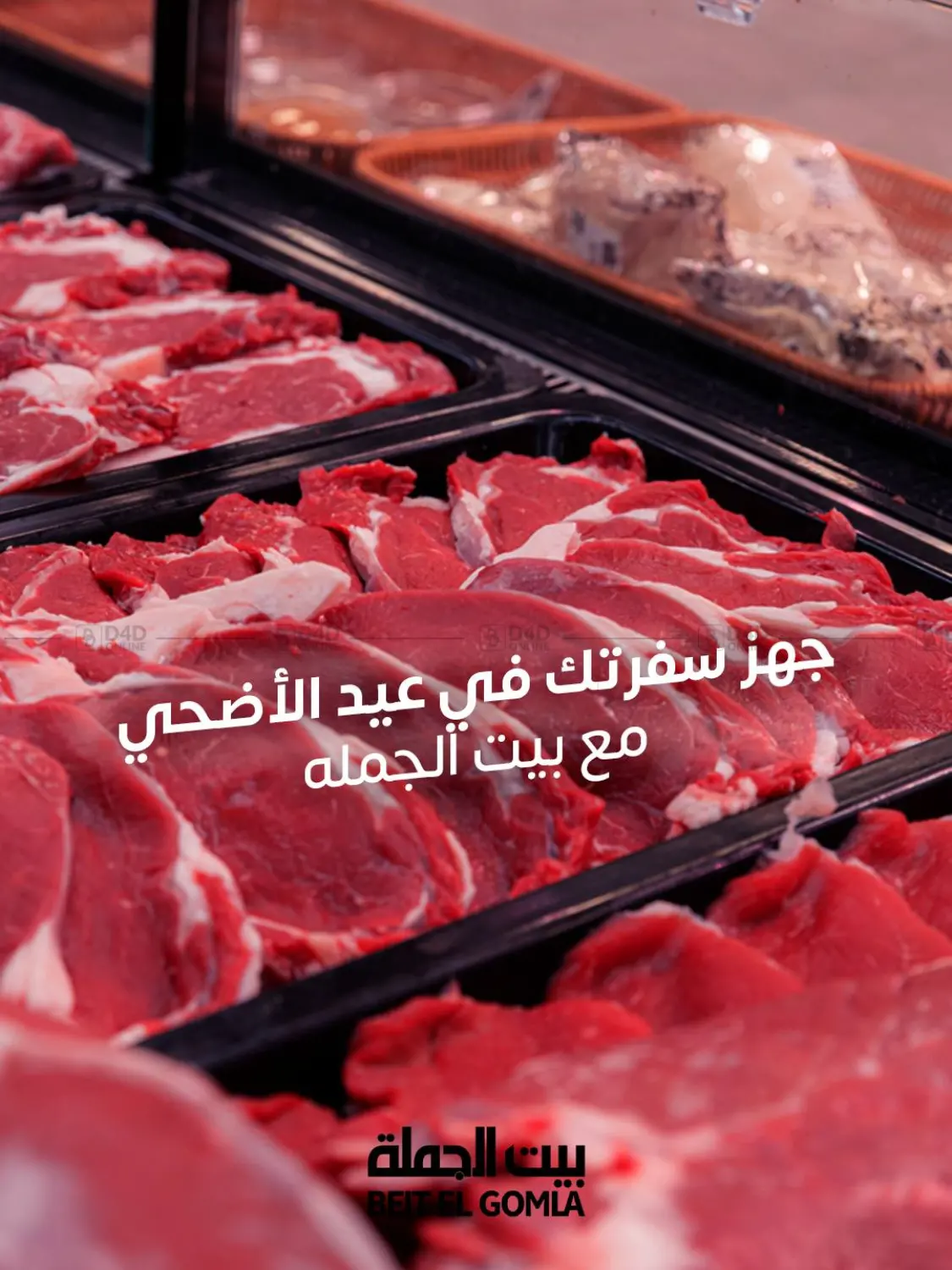 Special Offer in القاهرة