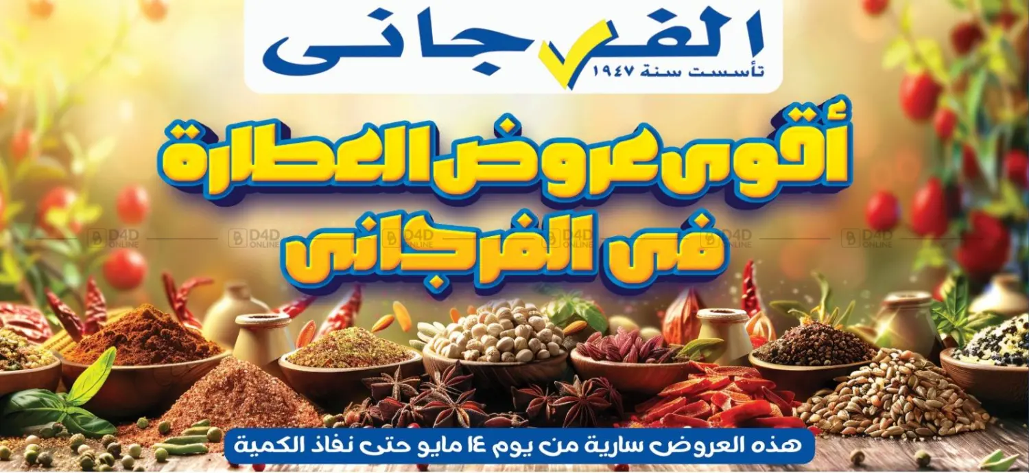 Special Offer in Cairo