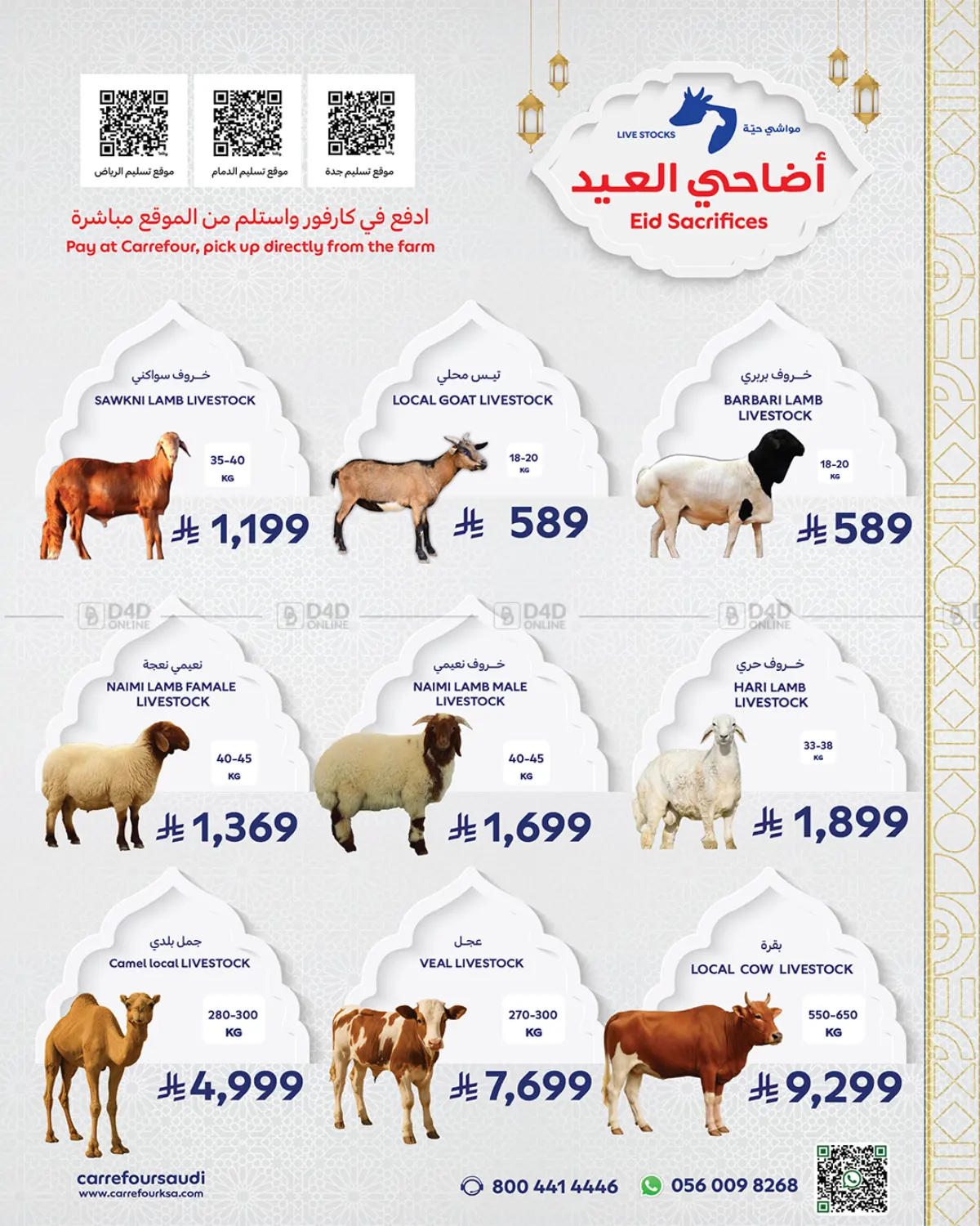 أضاحي العيد in جدة