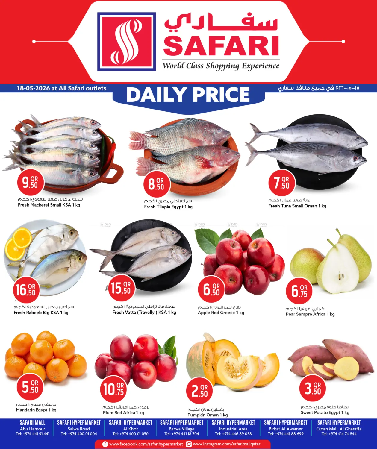 Daily Price in الشمال
