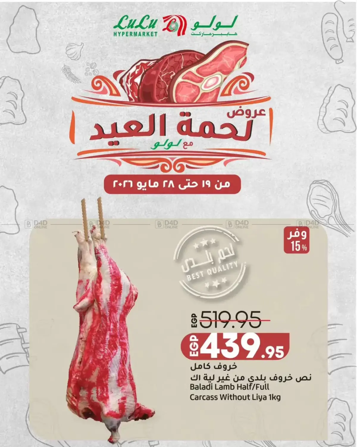 Special Offer in Cairo