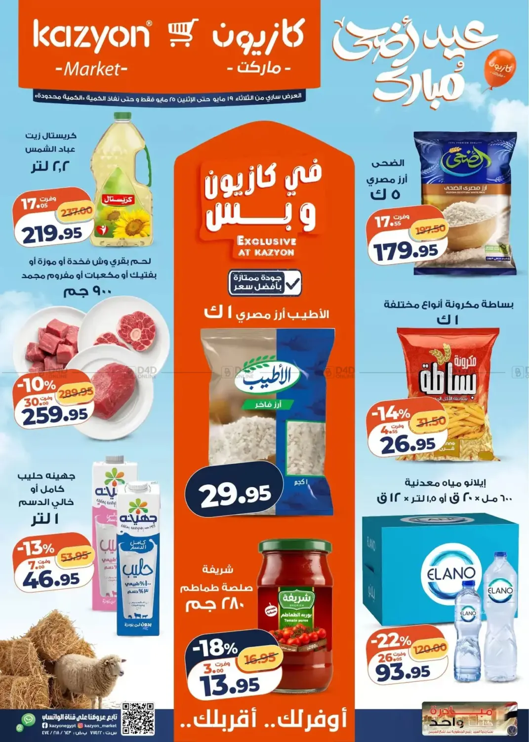 Special Offers in Cairo