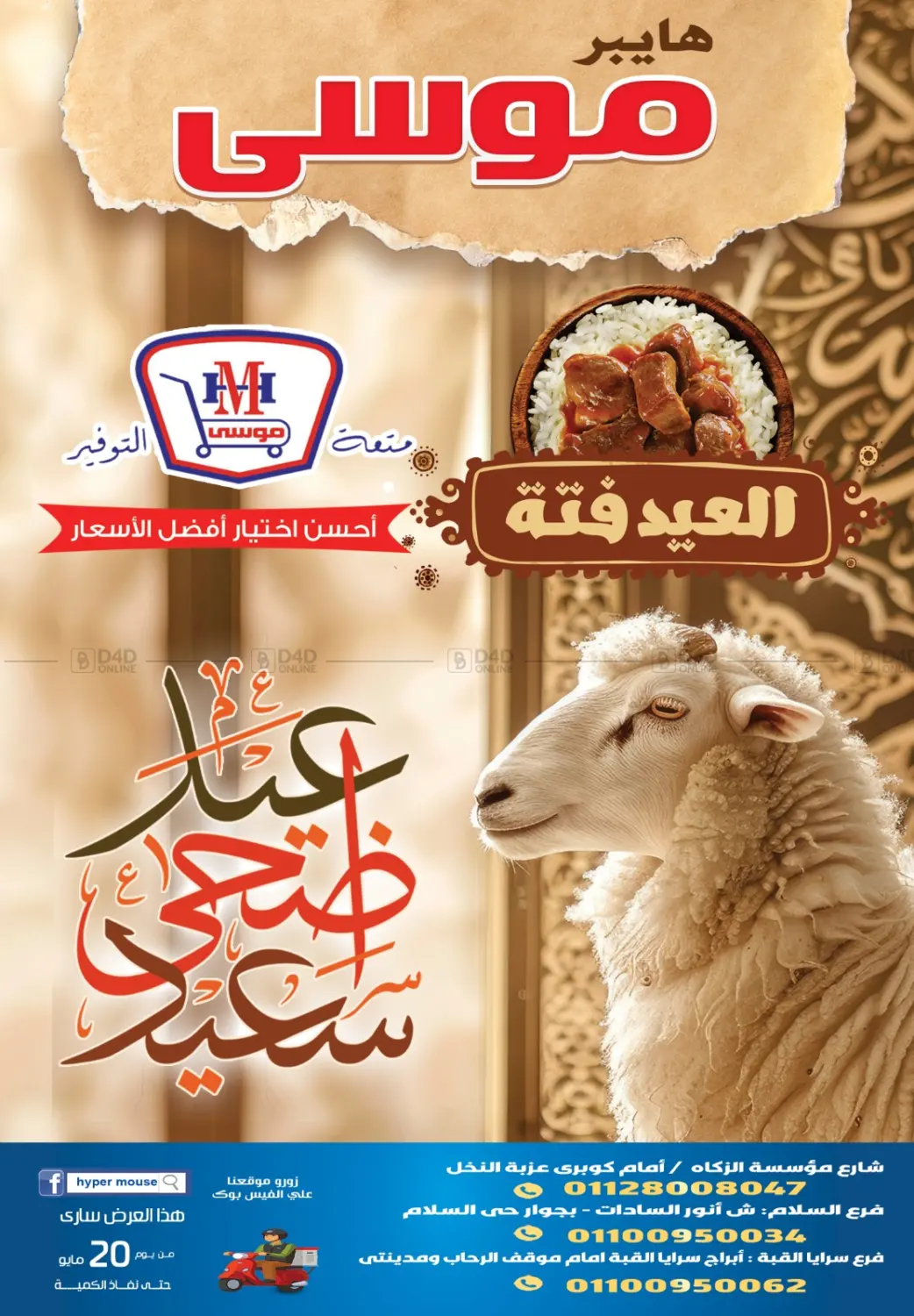 Special Offer in Cairo
