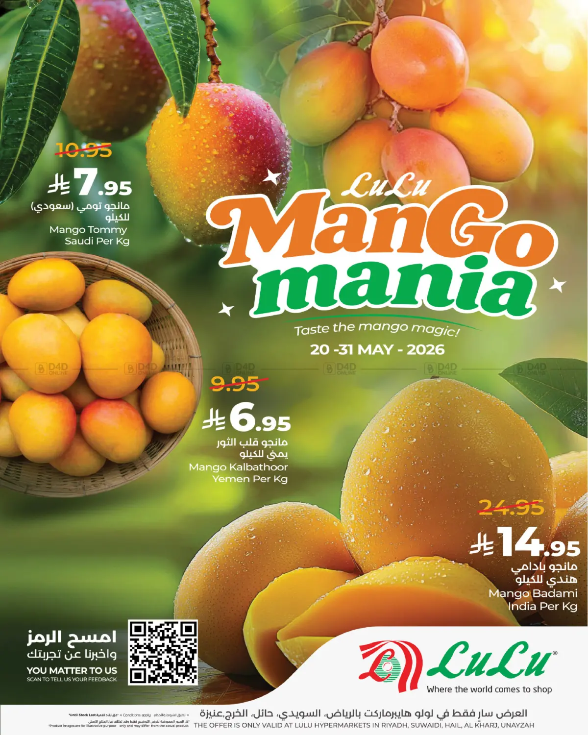 Mango Mania in Al-Kharj