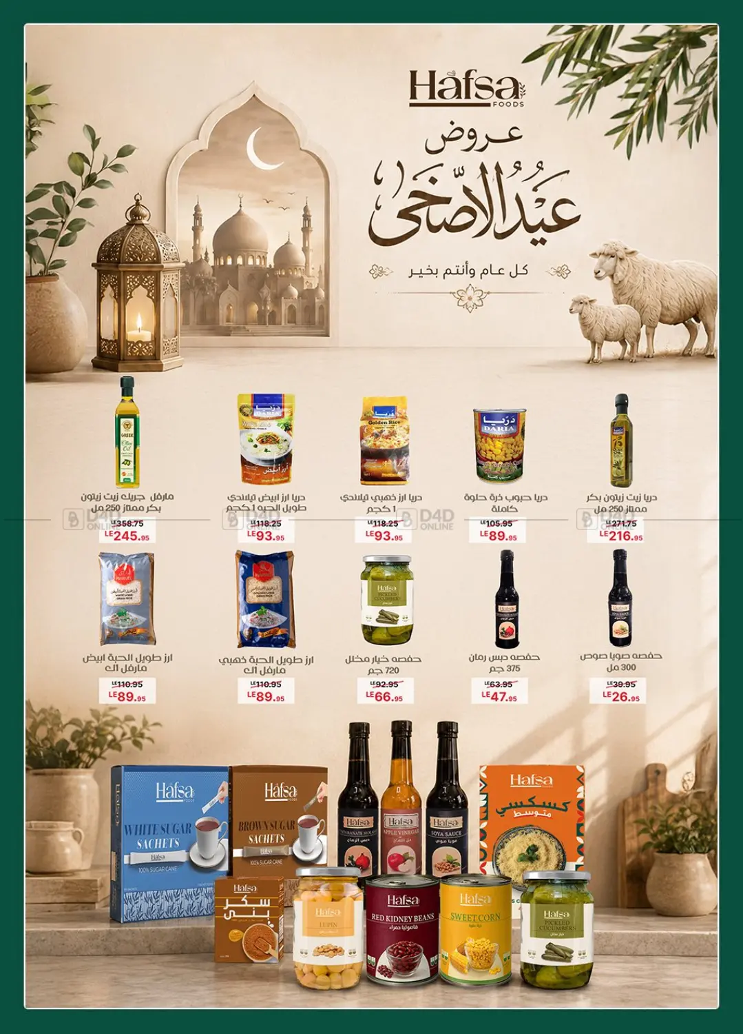 Special Offer in Cairo