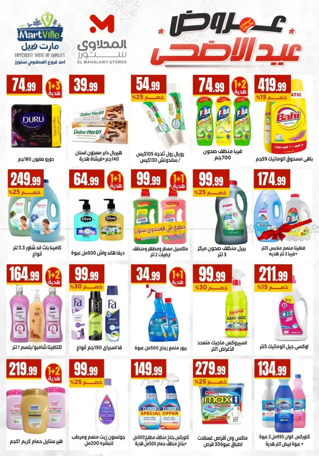 Special Offers in Cairo