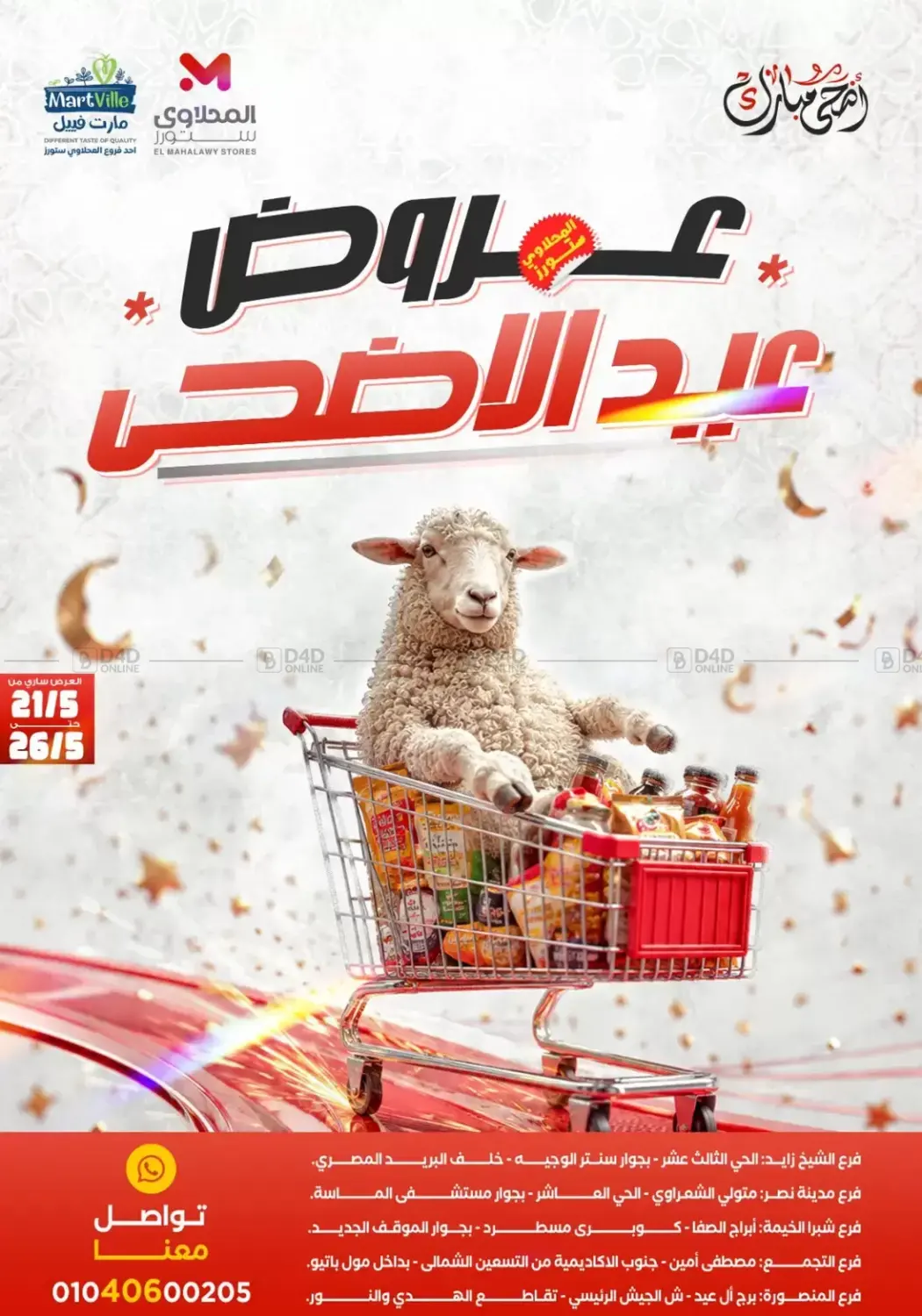 Special Offers in Cairo