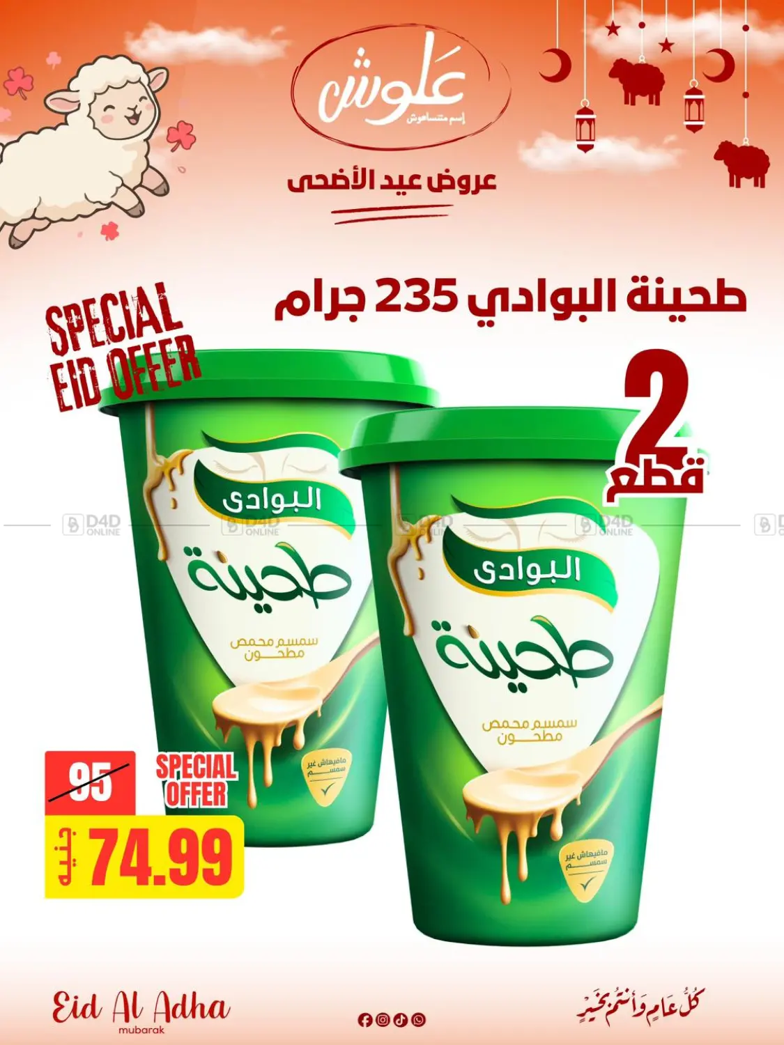 Special Offer in Cairo
