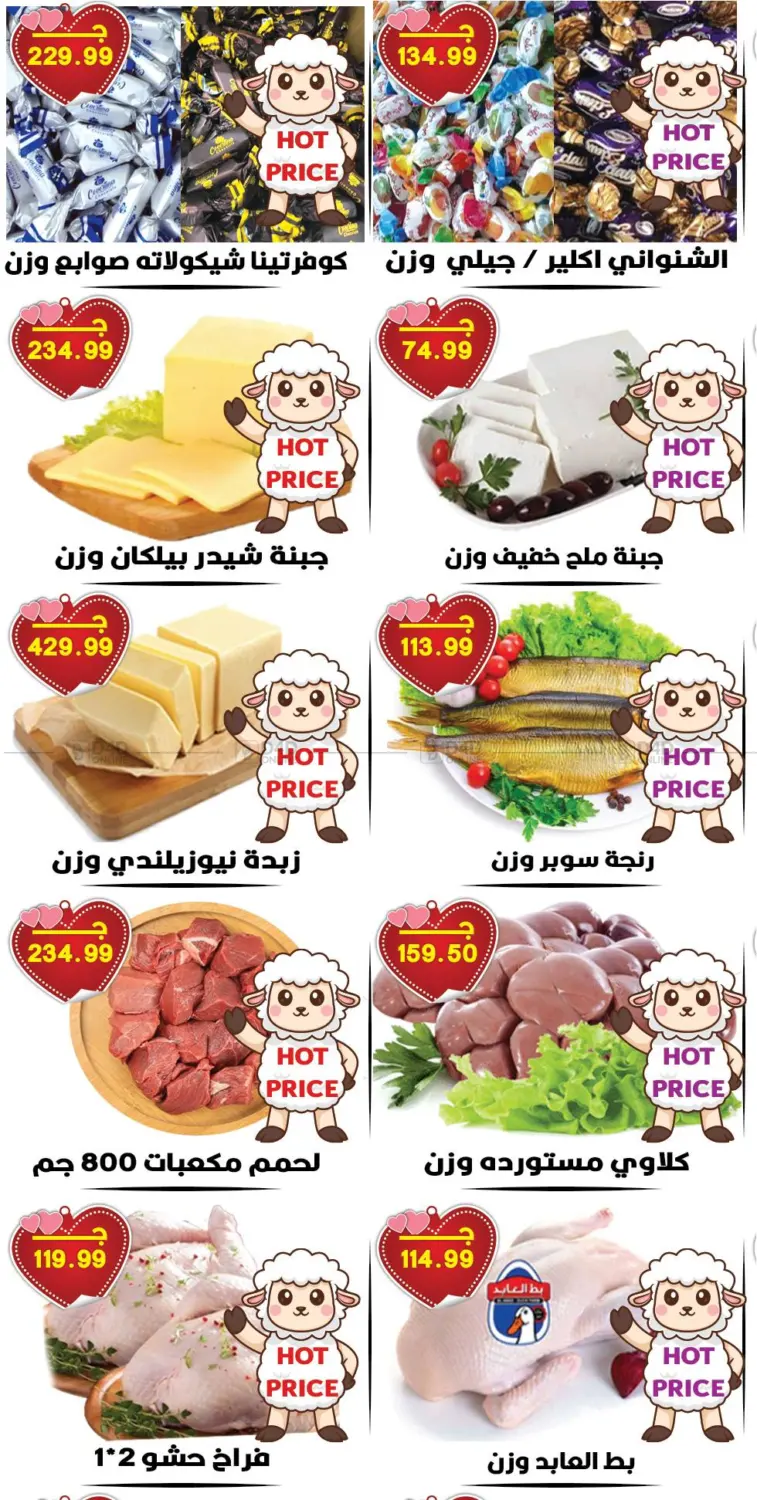 Special Offer in Cairo