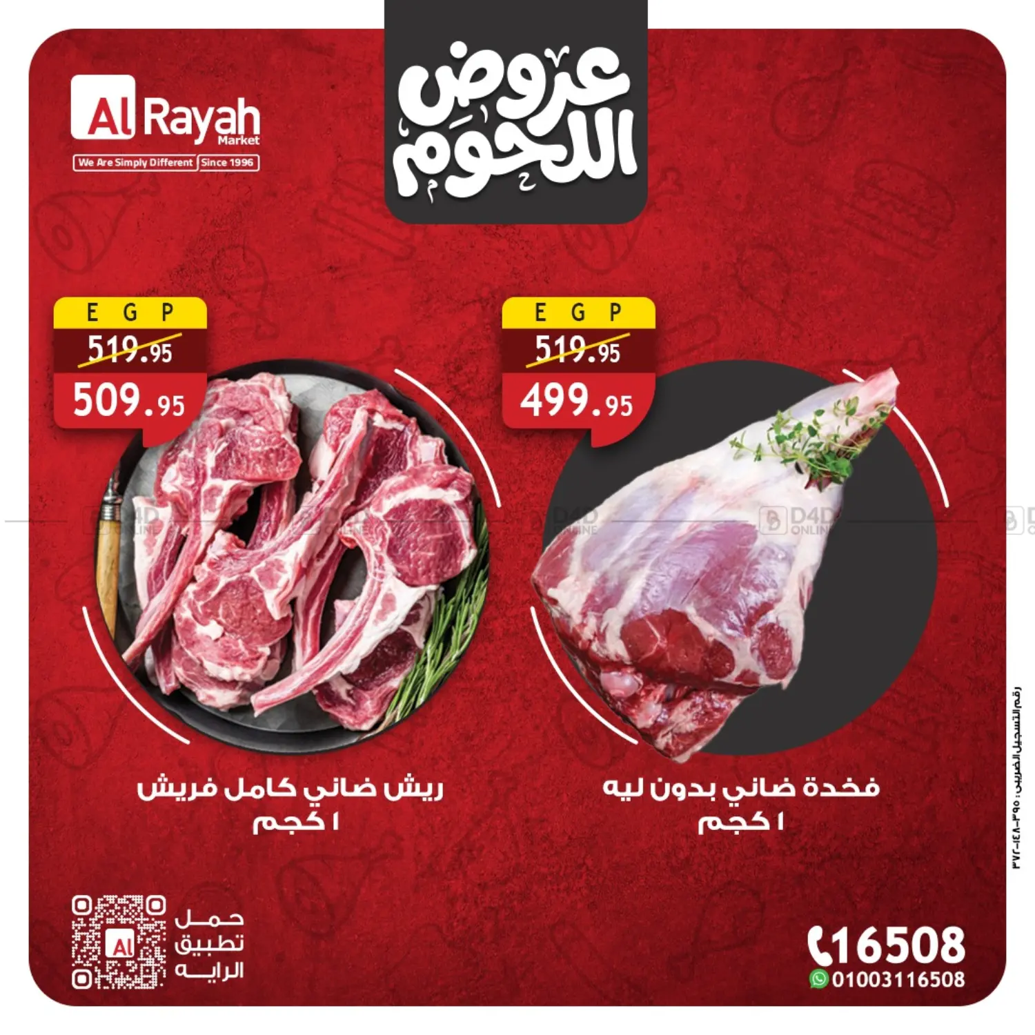 Special Offers in Cairo